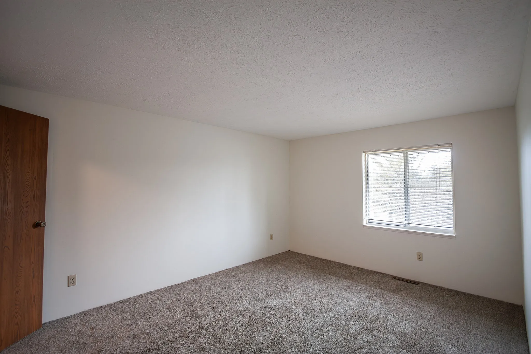Bright and spacious bedroom with plush carpeting, natural light flowing through a large window, and a warm wooden door.