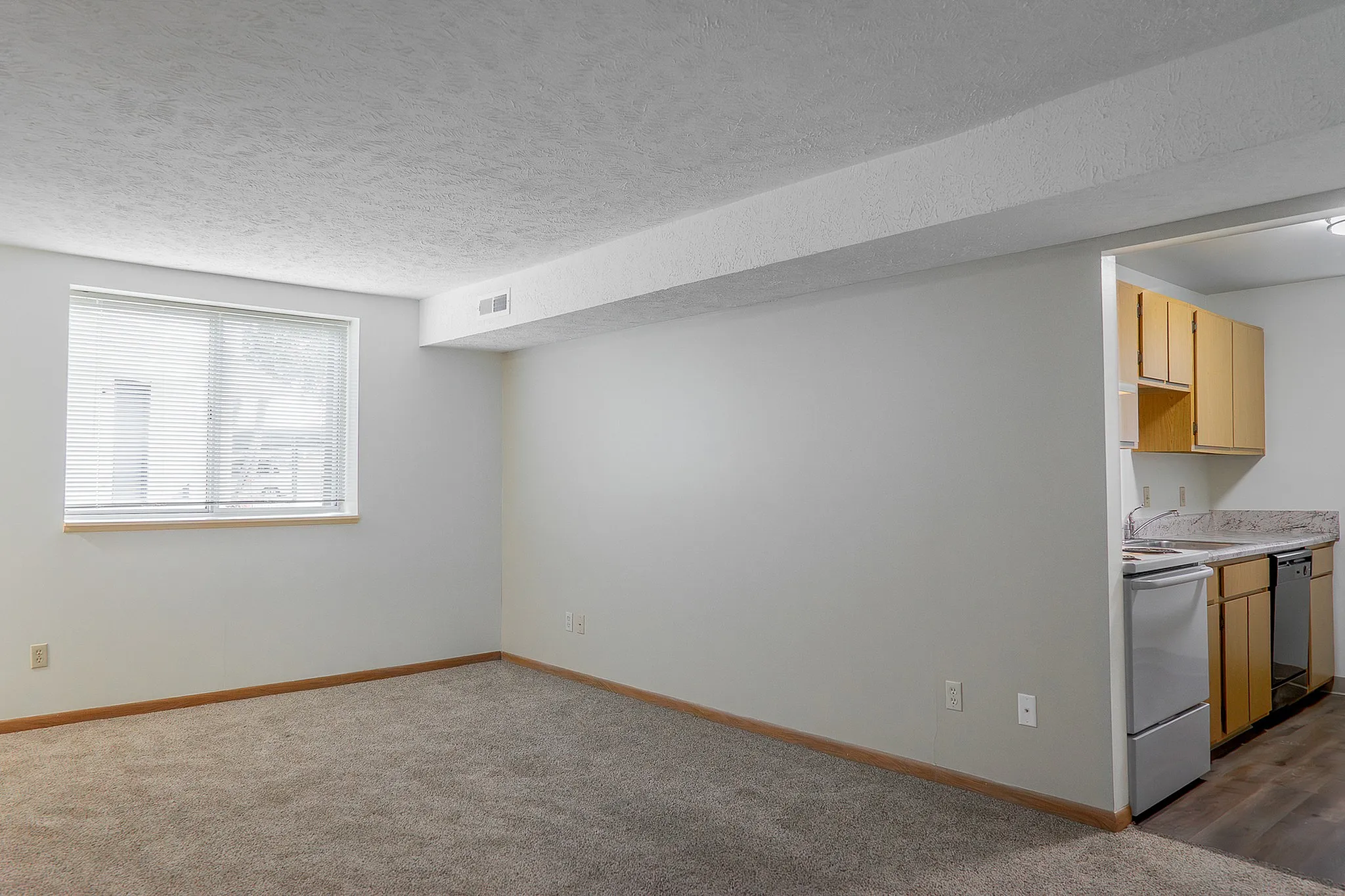 Bright and spacious living area with plush carpet and natural light, adjacent to a compact kitchen with warm wooden cabinetry.
