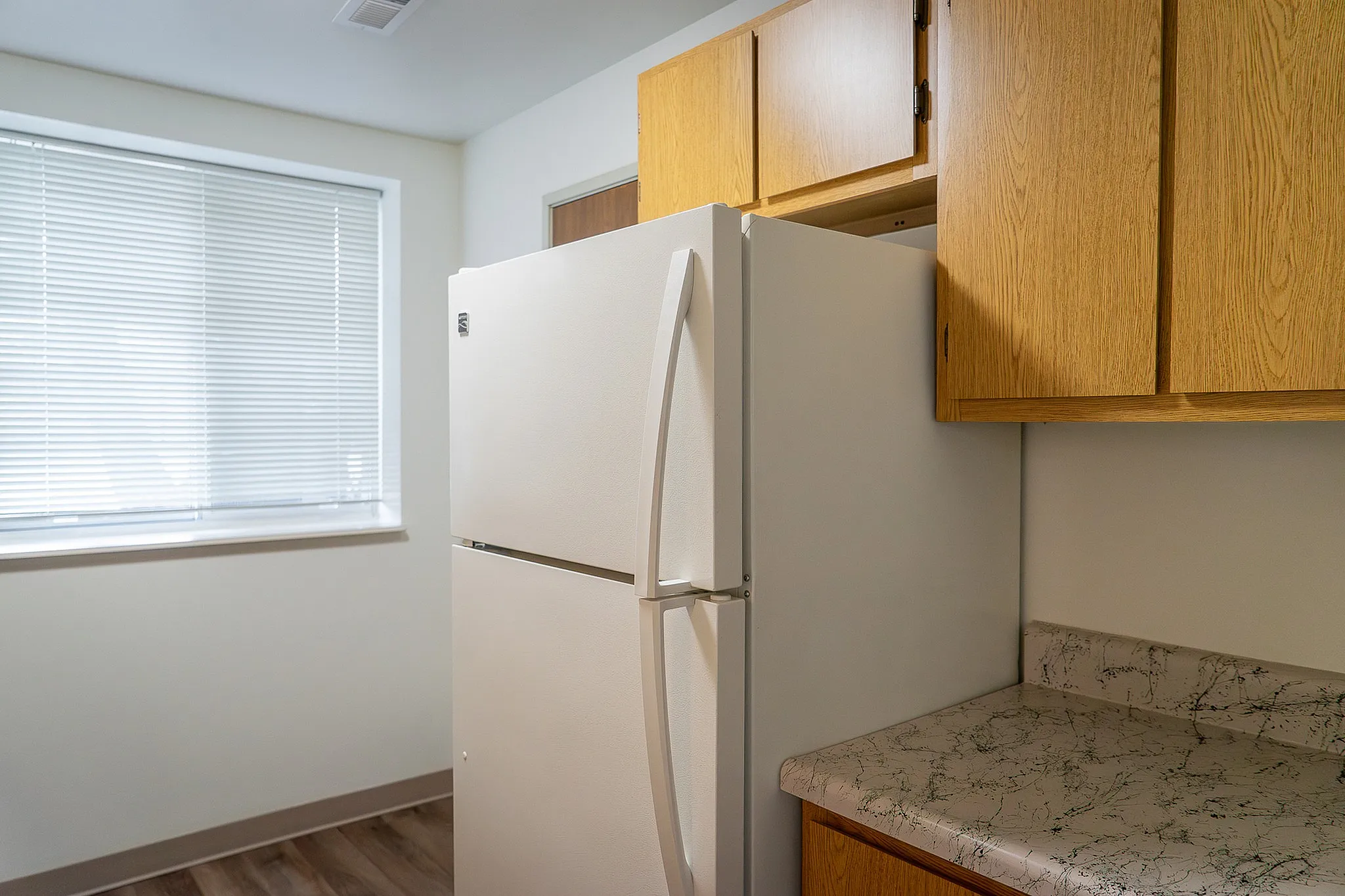 Bright and cozy kitchen with modern appliances, featuring a spacious refrigerator and sleek wooden cabinets, perfect for culinary adventures.
