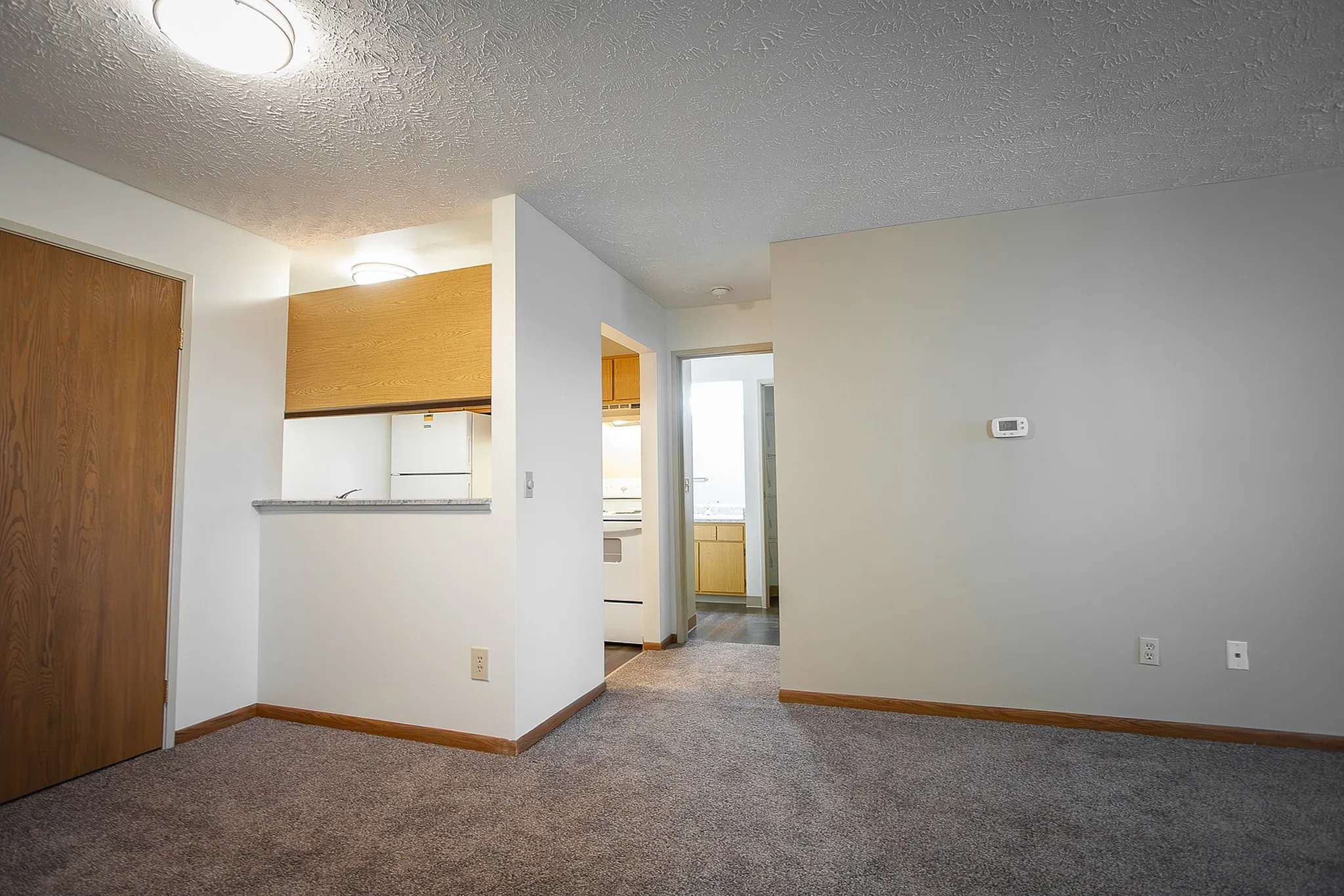 Modern apartment interior with cozy carpeted living space, hardwood kitchen entry, and natural light enhancing warmth.