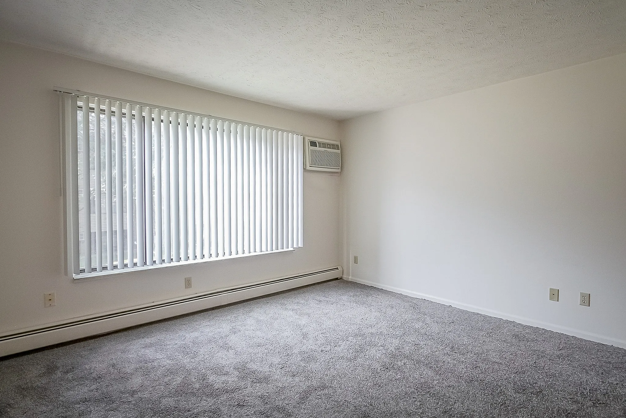 Bright, spacious room with lush carpeting and a large window featuring vertical blinds; perfect for customization and comfort.