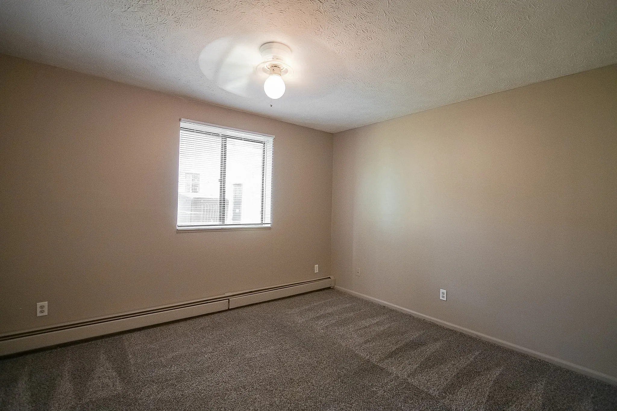 Bright and inviting bedroom with plush carpeting, neutral tones, and a large window allowing natural light to fill the space.