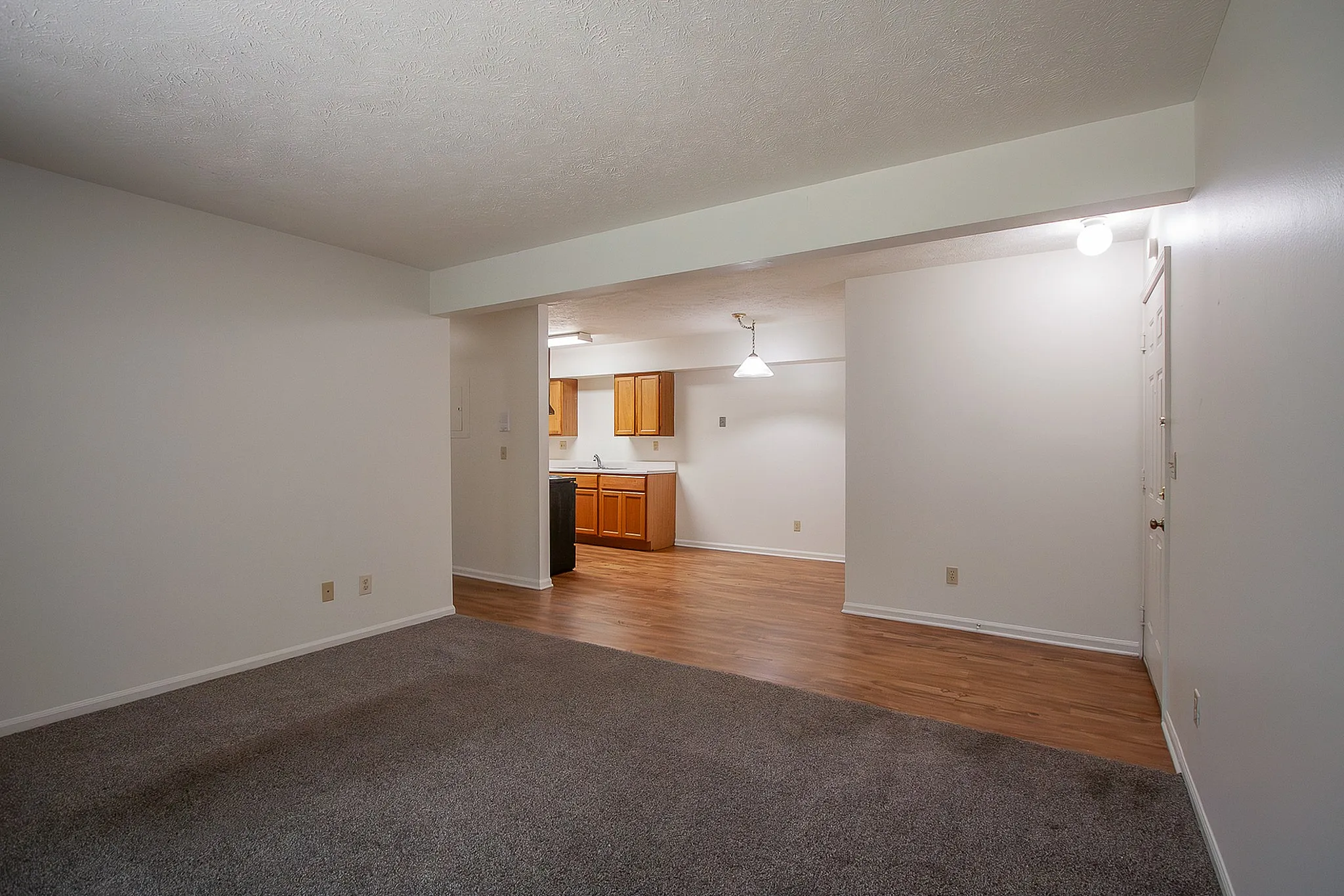 Inviting open-concept apartment with cozy carpeted living area and modern hardwood kitchen, perfect for comfort and functionality.