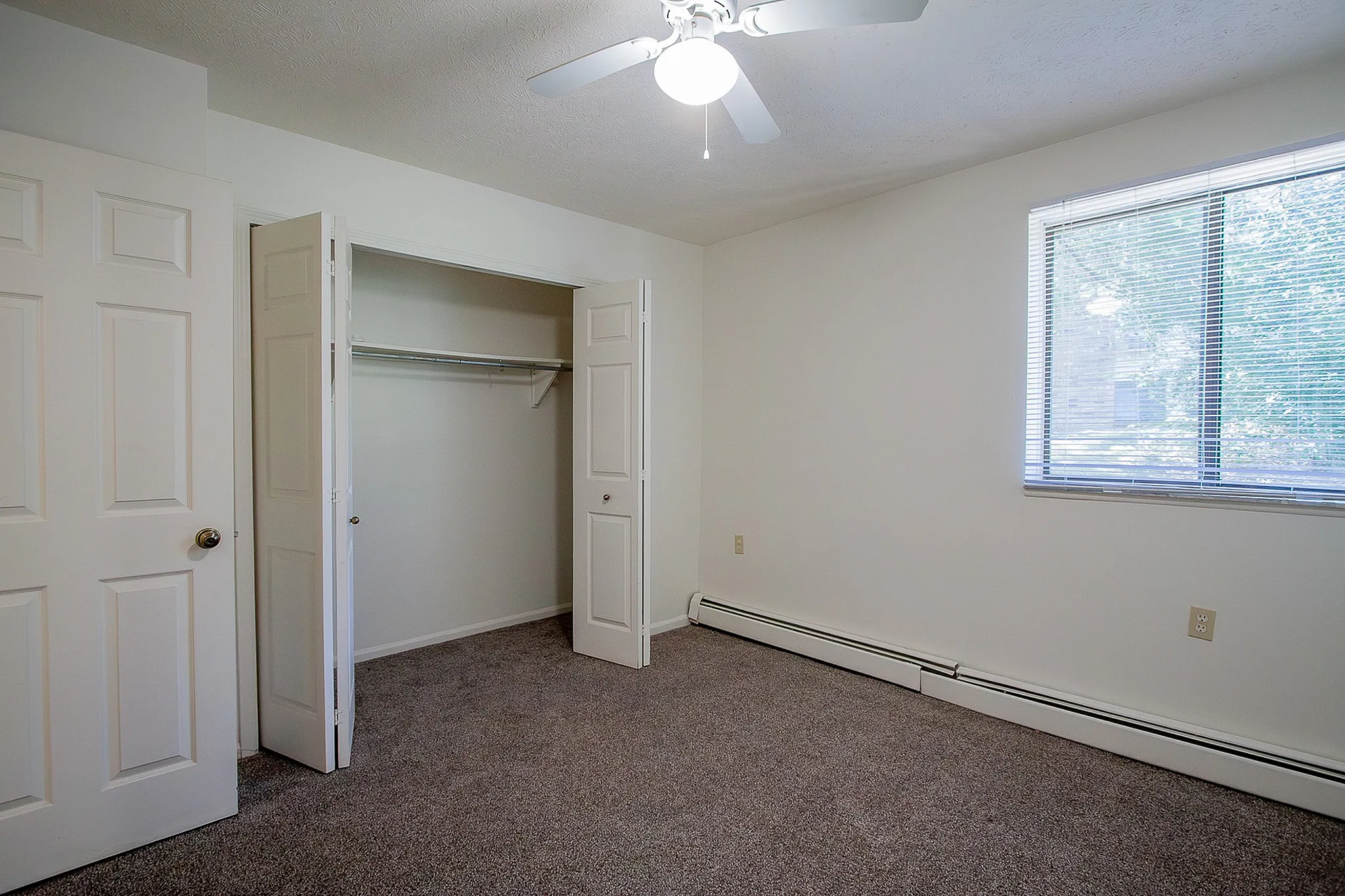 Bright and airy bedroom featuring soft carpet flooring, large window with natural light, and an open closet with ample storage space.