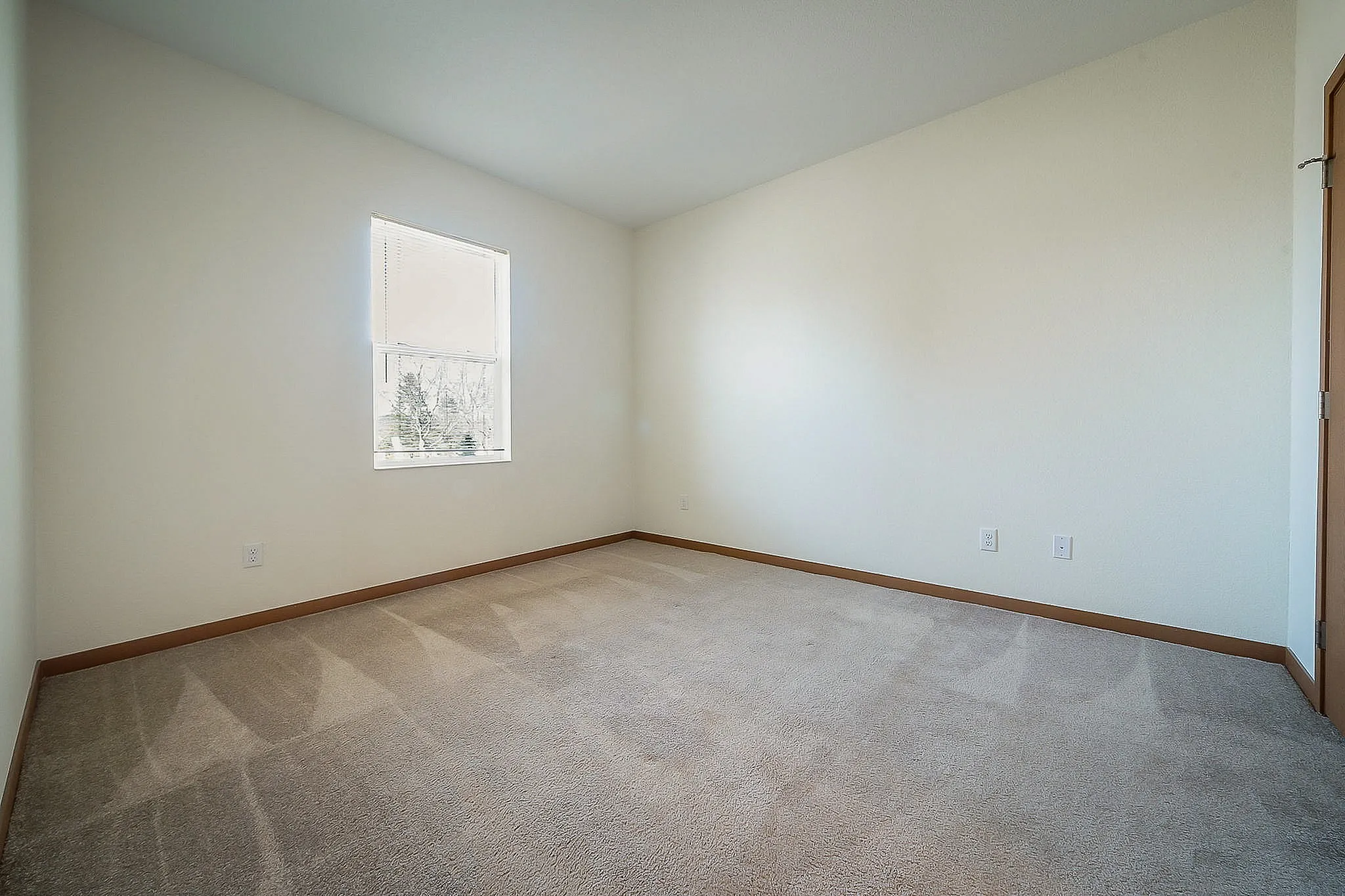 Bright empty room with soft carpet flooring and a large window, perfect for creating a personalized living space.