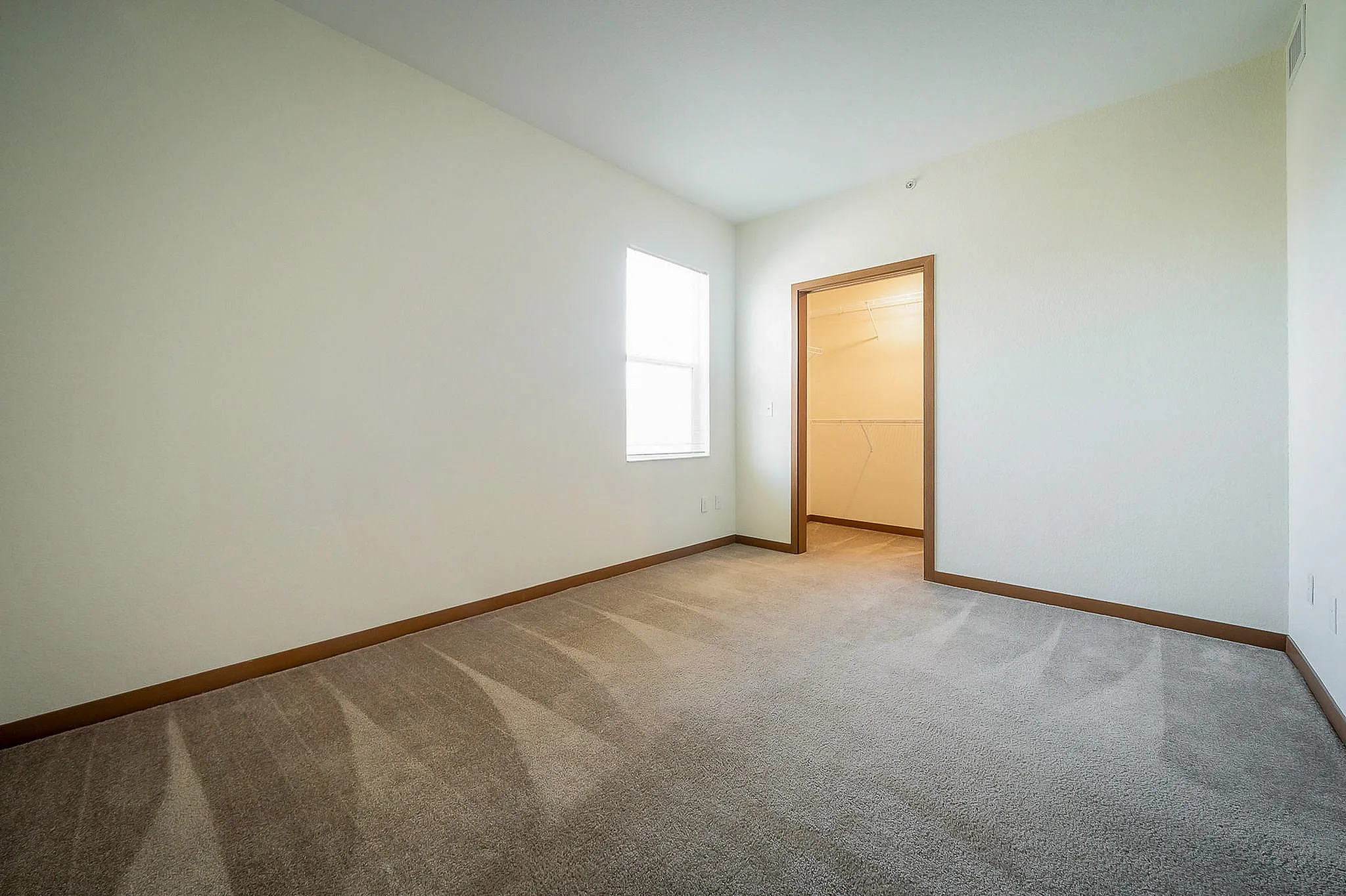 Inviting bedroom with plush carpet and abundant natural light, featuring an open walk-in closet for ample storage.