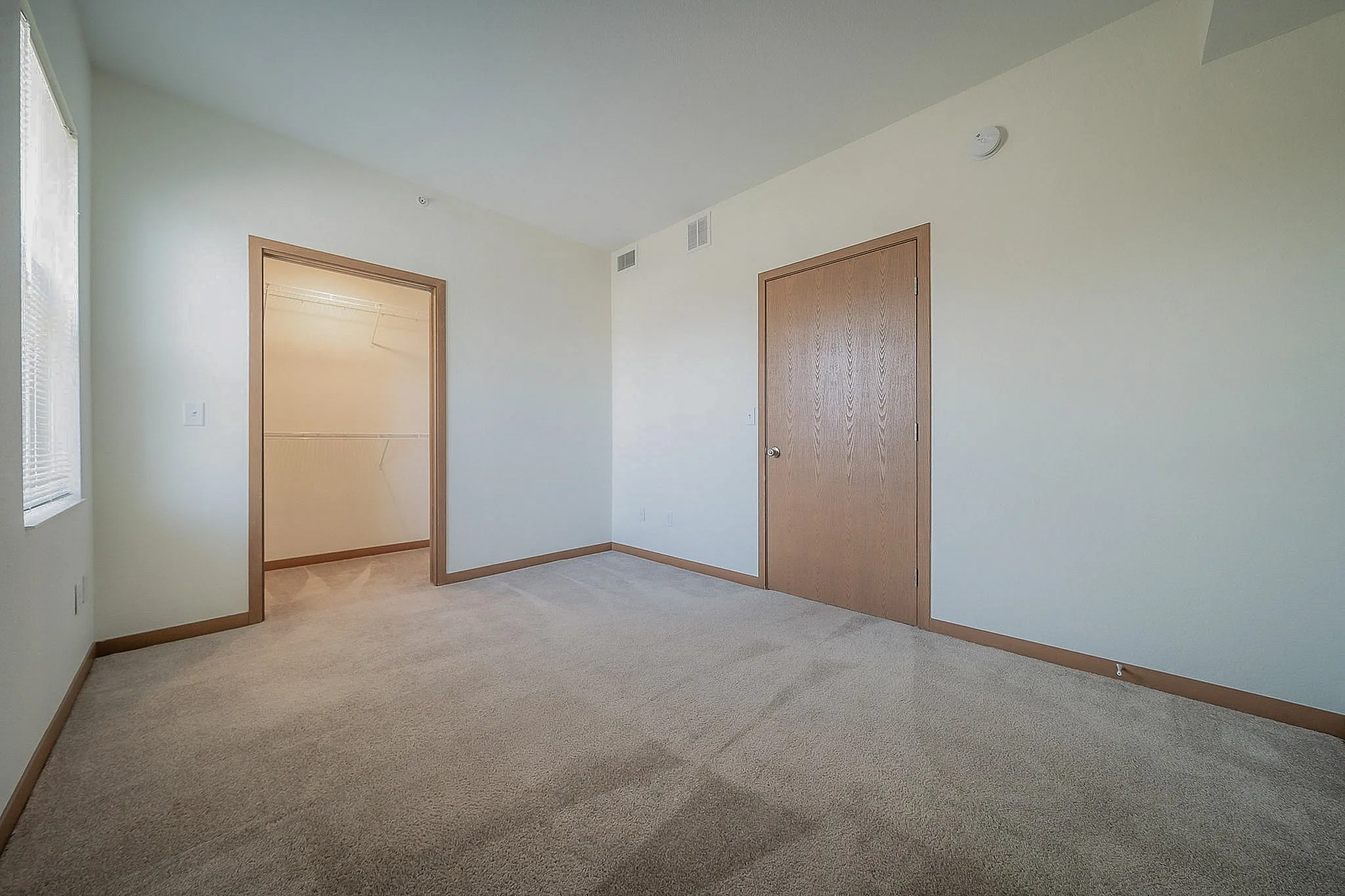 Bright and inviting bedroom with plush carpet and a spacious walk-in closet, perfect for comfortable living.