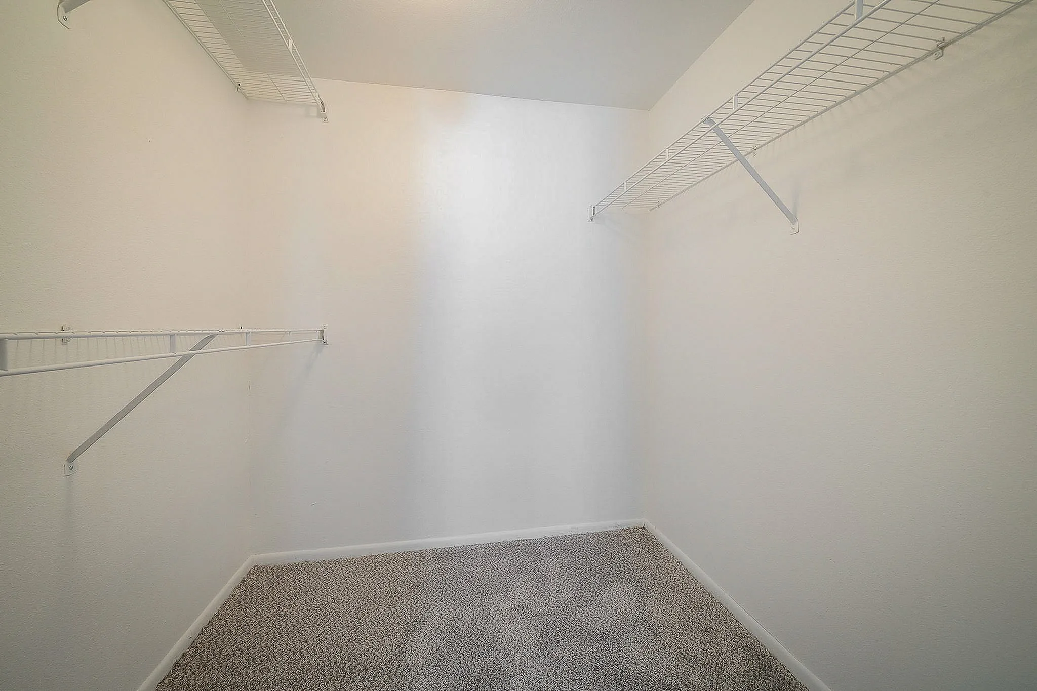 Spacious walk-in closet with plush carpeting and ample shelving, perfect for organizing your wardrobe.