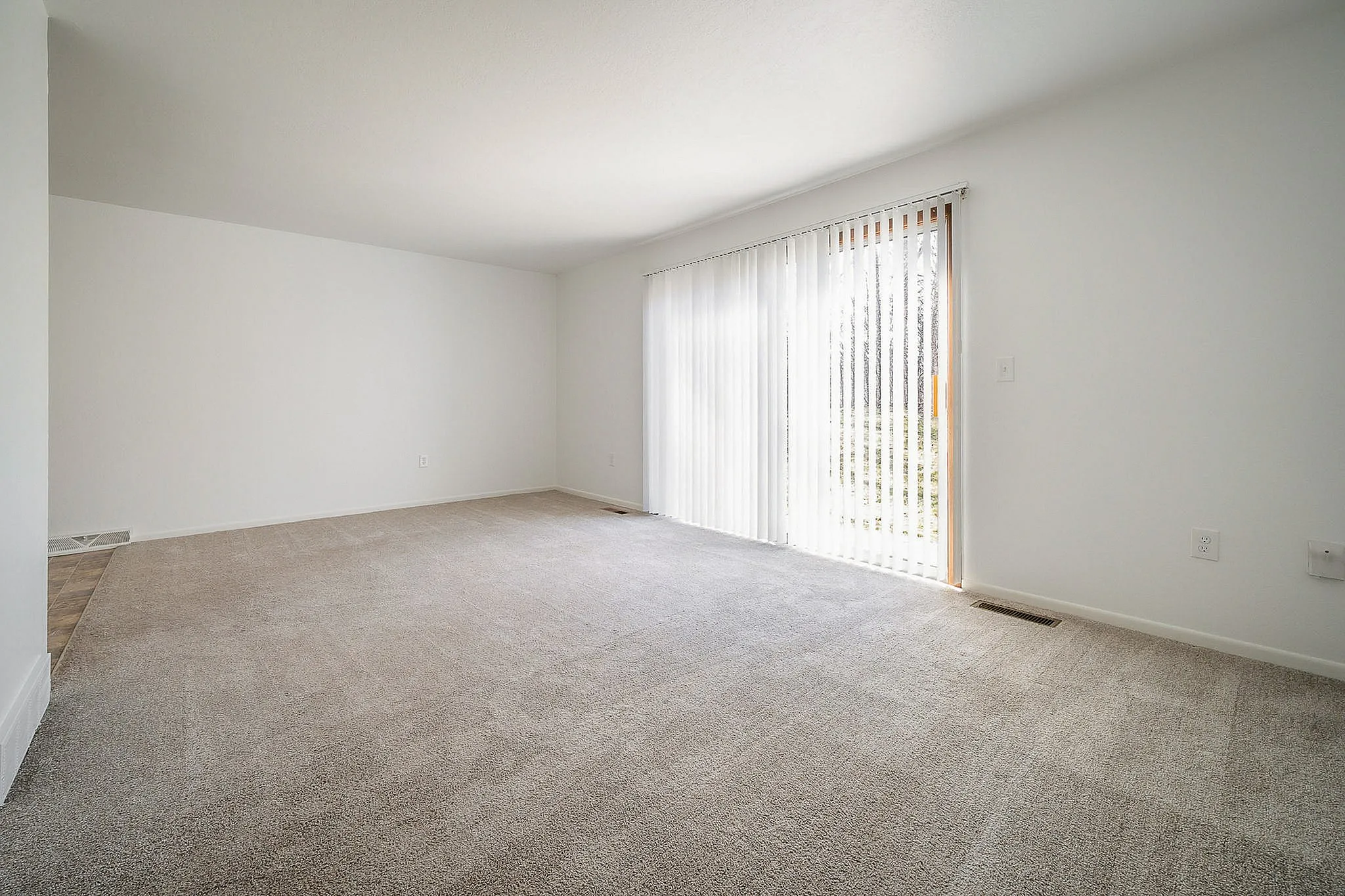 Bright and spacious empty living room with plush carpet, large windows, and sleek vertical blinds filtering natural light.