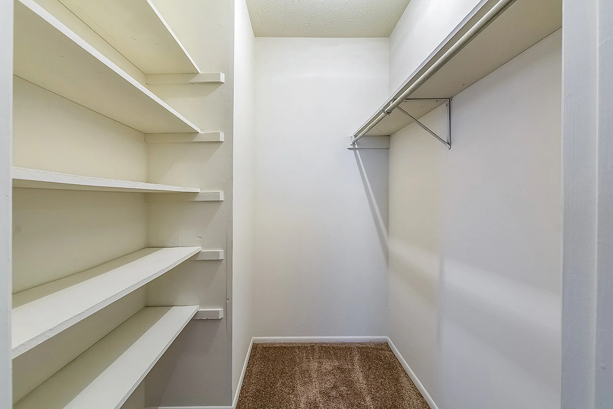 Spacious walk-in closet featuring ample shelving and carpeted floor, ideal for organized living.