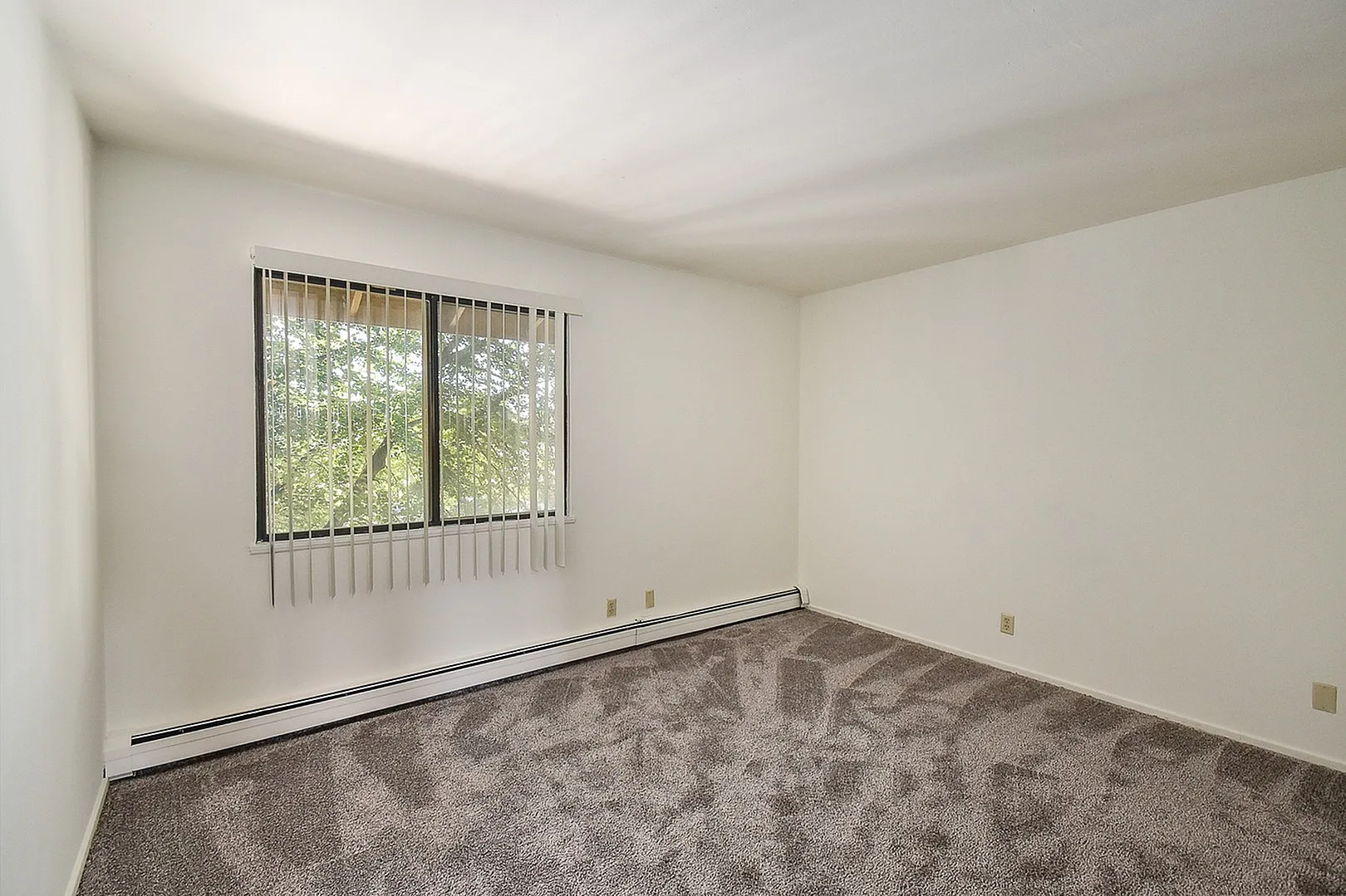 Bright and spacious apartment room with a large window, plush carpet, and elegant white walls, perfect for creating a cozy atmosphere.