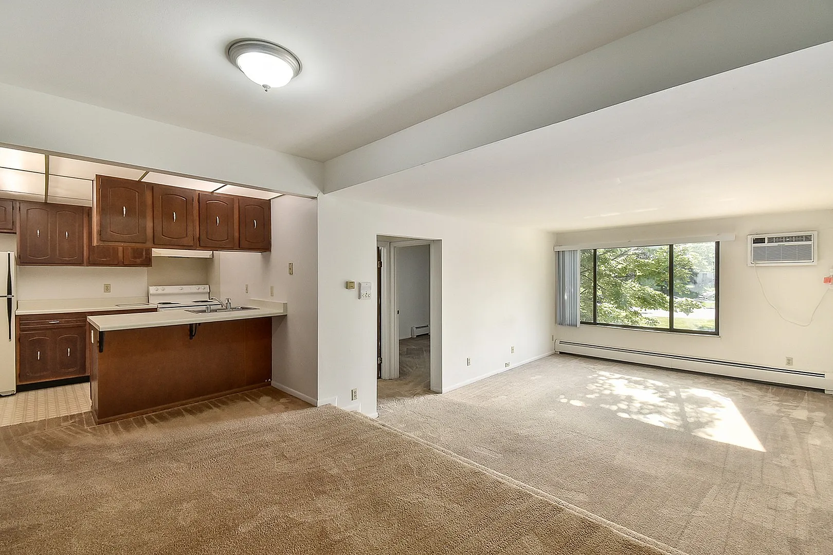 Bright and airy open-plan living space with a cozy kitchen, featuring warm wooden cabinetry and expansive windows overlooking lush greenery.