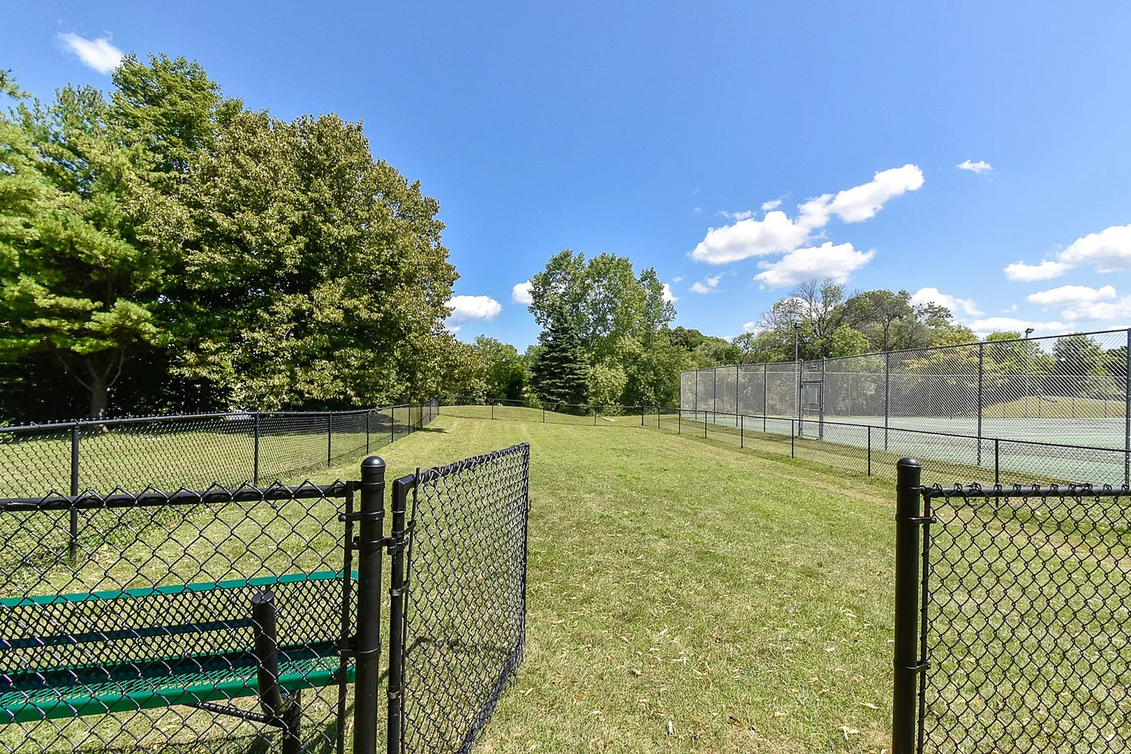 Scenic outdoor area featuring lush green trees and a fenced tennis court under a clear blue sky.