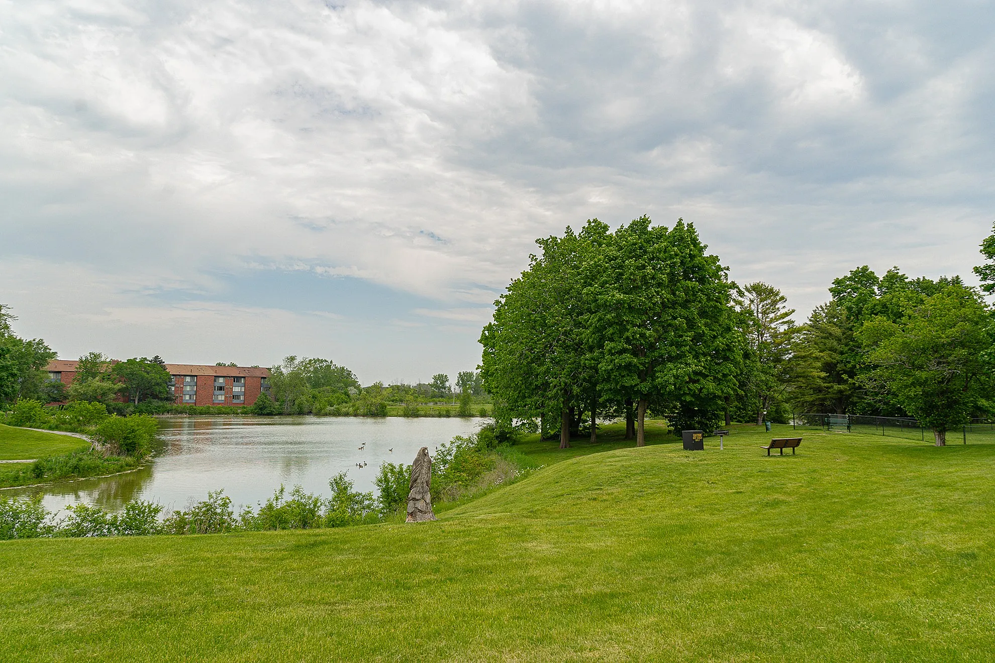 Serene lakeside view with lush green parkland, perfect for relaxation and outdoor activities.