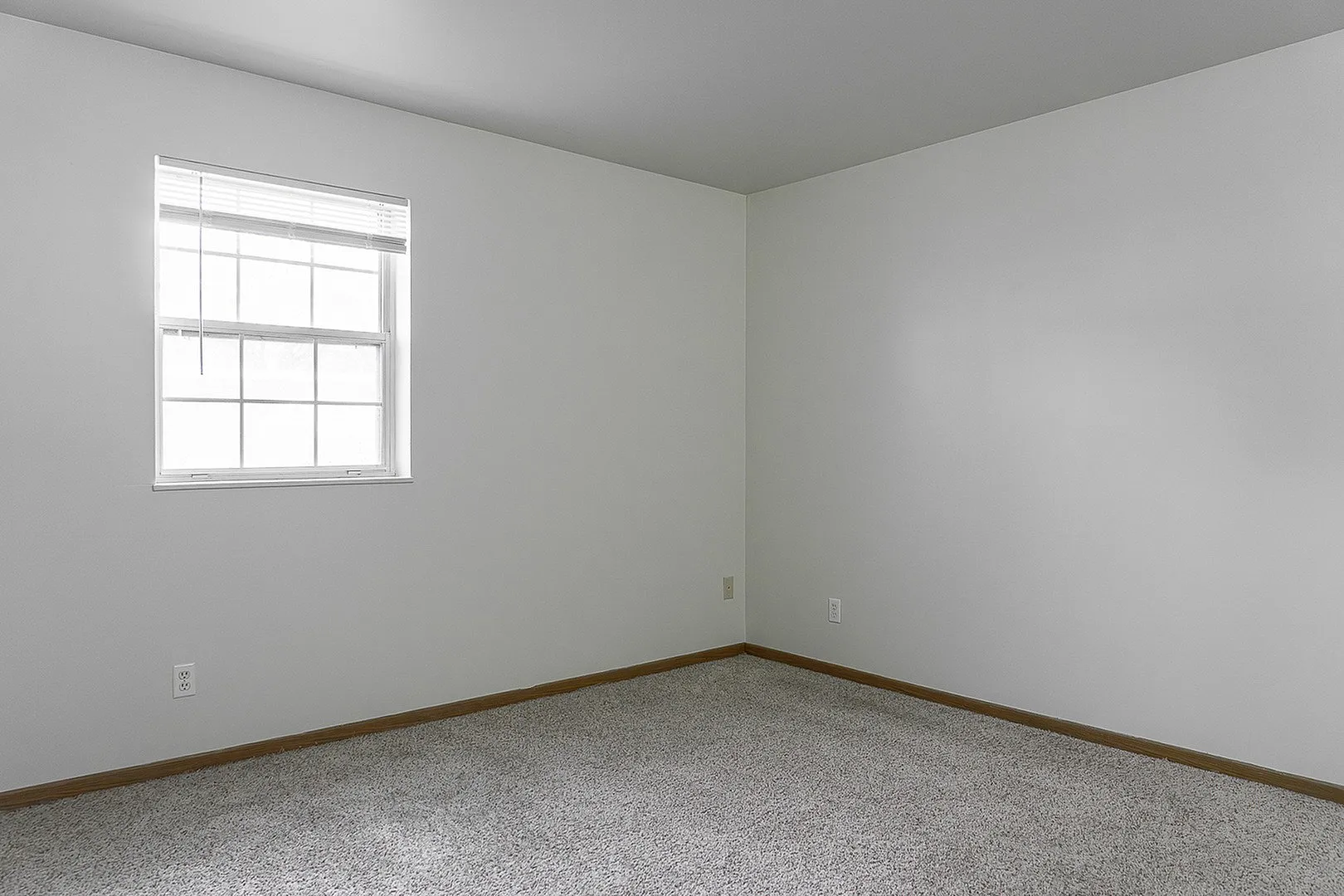 Bright and airy bedroom with soft carpet flooring and a large window, providing ample natural light.