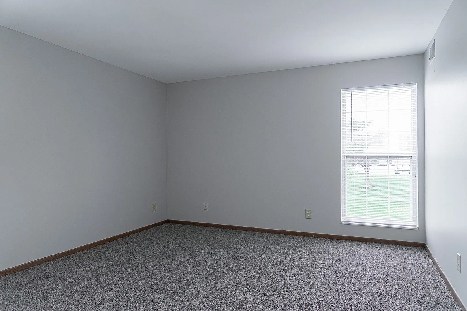 Bright and spacious empty room with fresh carpeting and a large window offering garden views.