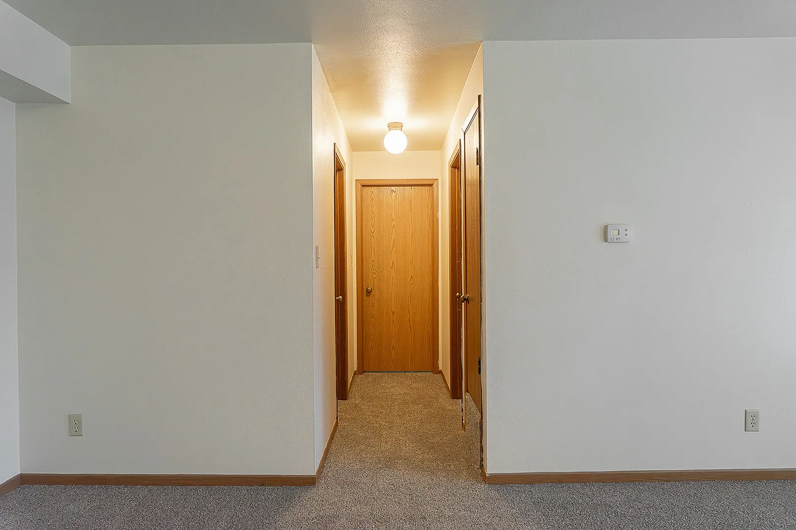 Bright interior hallway featuring warm wooden doors and plush carpet, offering a welcoming ambiance.