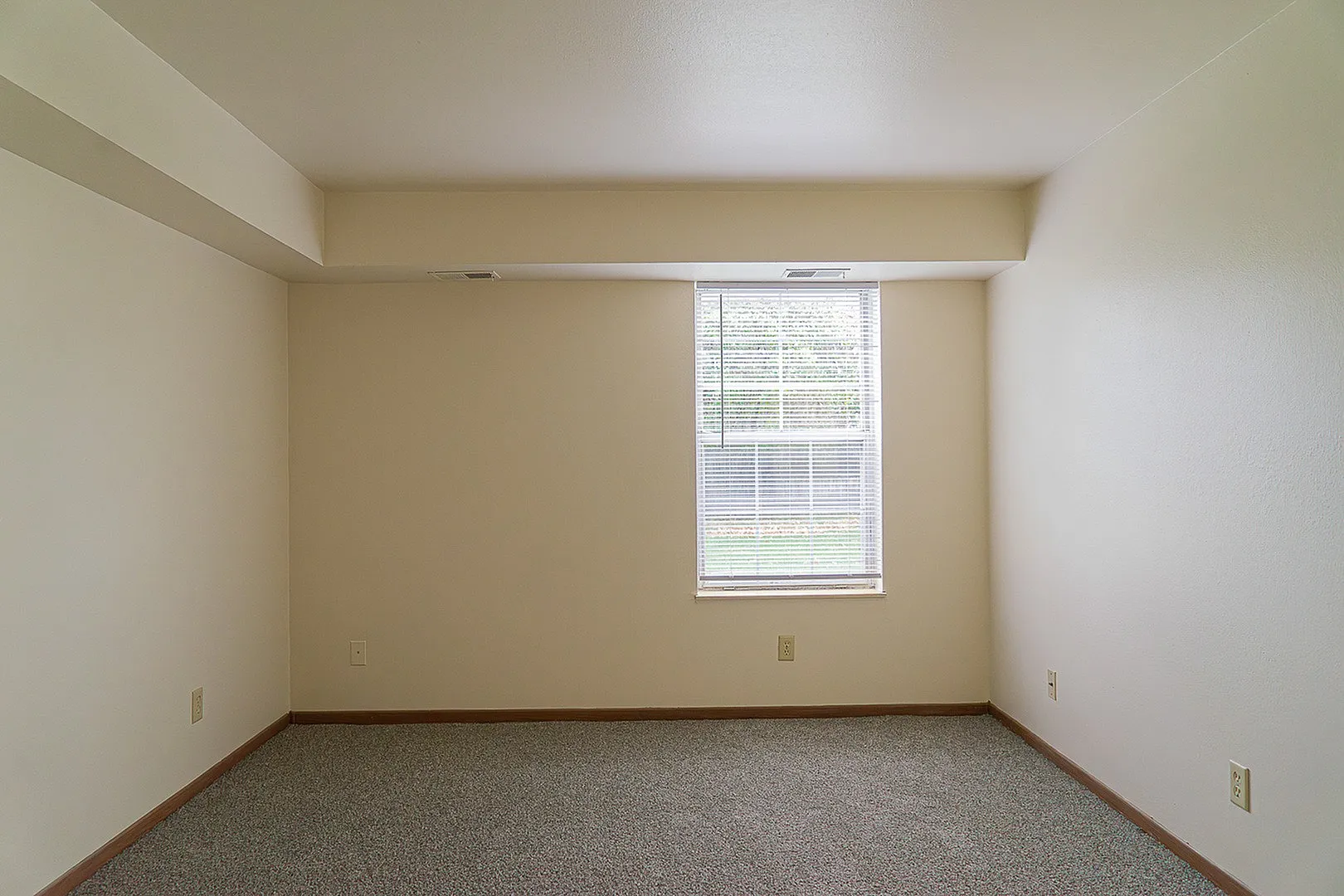 Bright room with a large window and plush carpeting, ideal for creating a cozy living space.