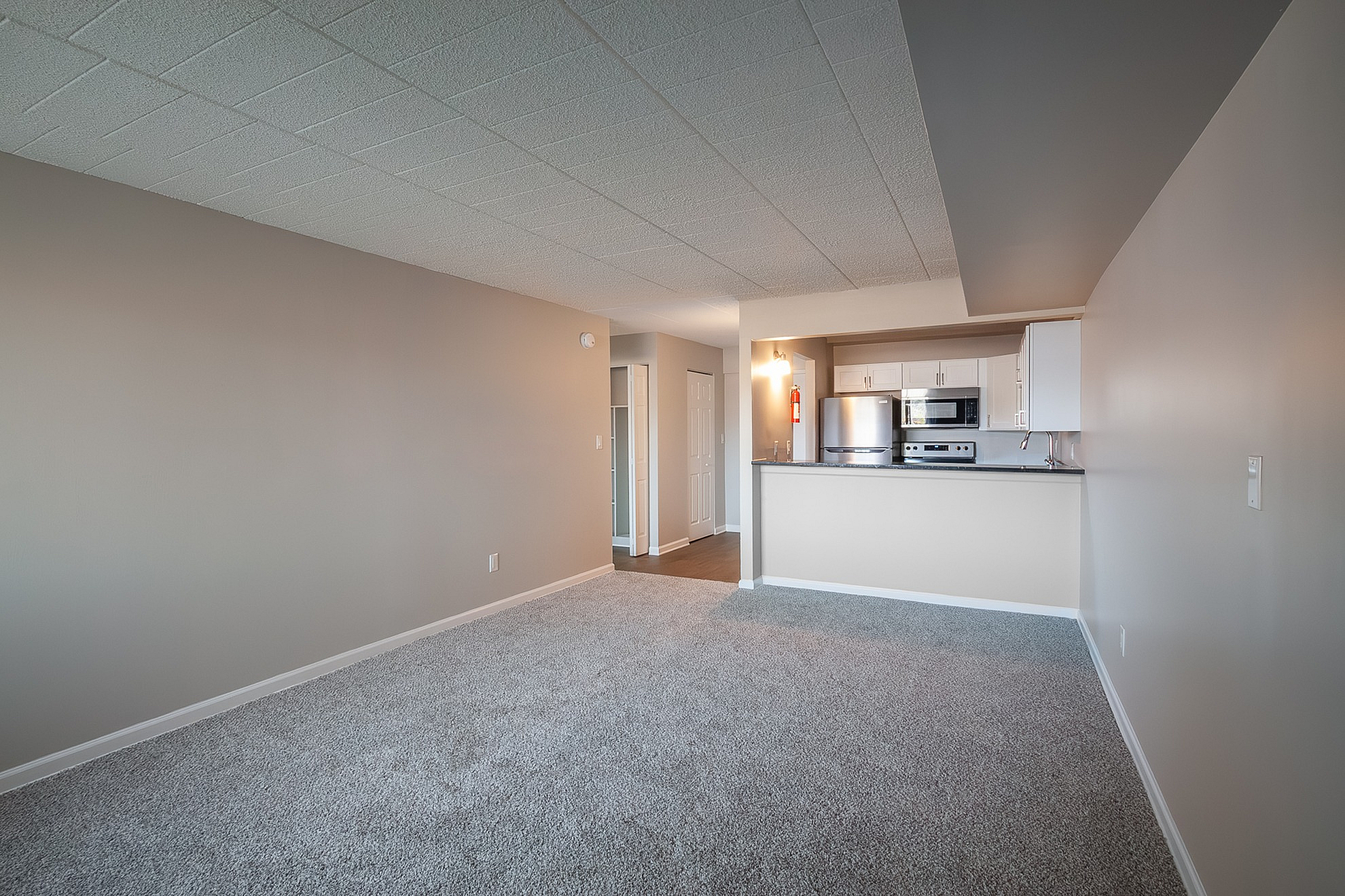 Modern open-concept living area with plush carpeting leading to a sleek kitchen featuring stainless steel appliances and clean white cabinetry.