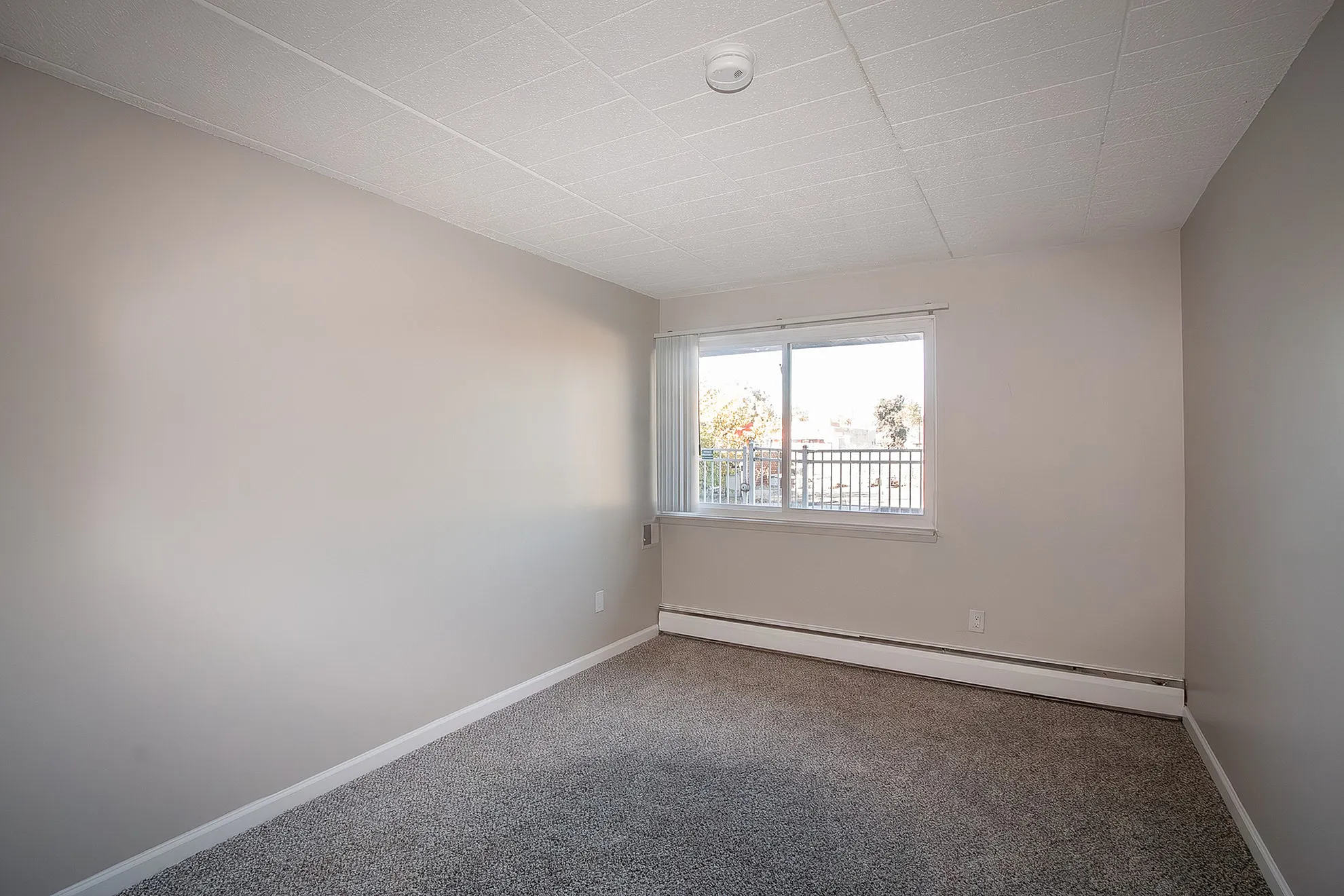 Bright and airy bedroom with large window, neutral-toned walls, and soft carpet flooring.