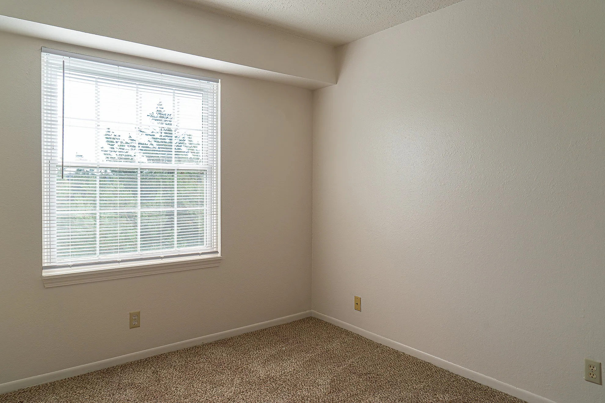 Bright room with large window and beautiful beige carpet, perfect for a cozy bedroom or a serene workspace.