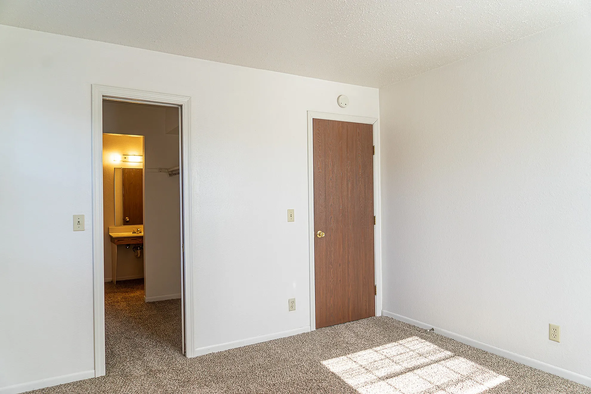 Elegant, sunlit room with plush carpeting, featuring a wooden door and a glimpse into the attached bathroom.