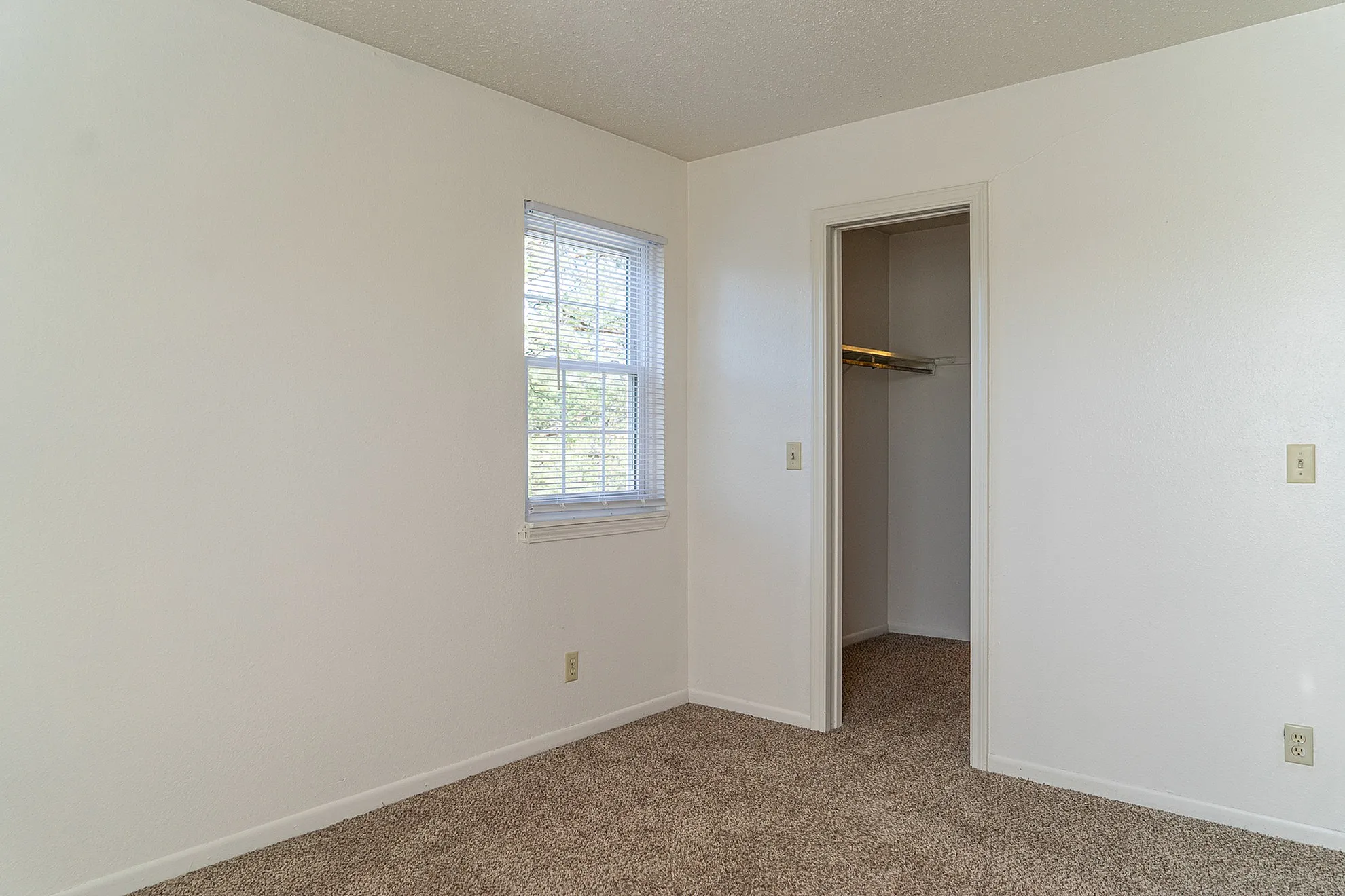 Bright bedroom with a cozy carpet, ample natural light from a window, and a spacious closet.