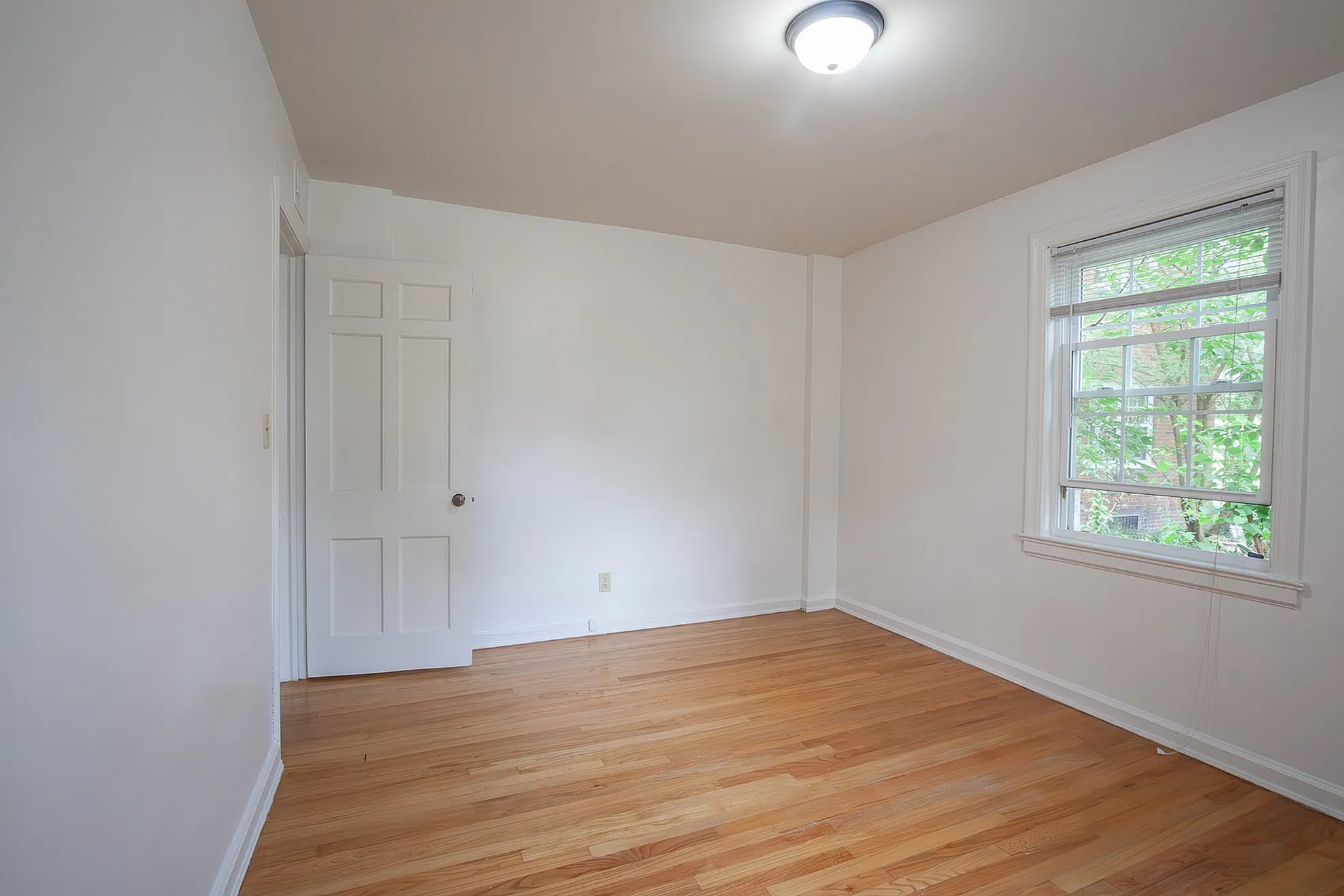 Bright and inviting room with natural wood flooring and large window offering a leafy green view.