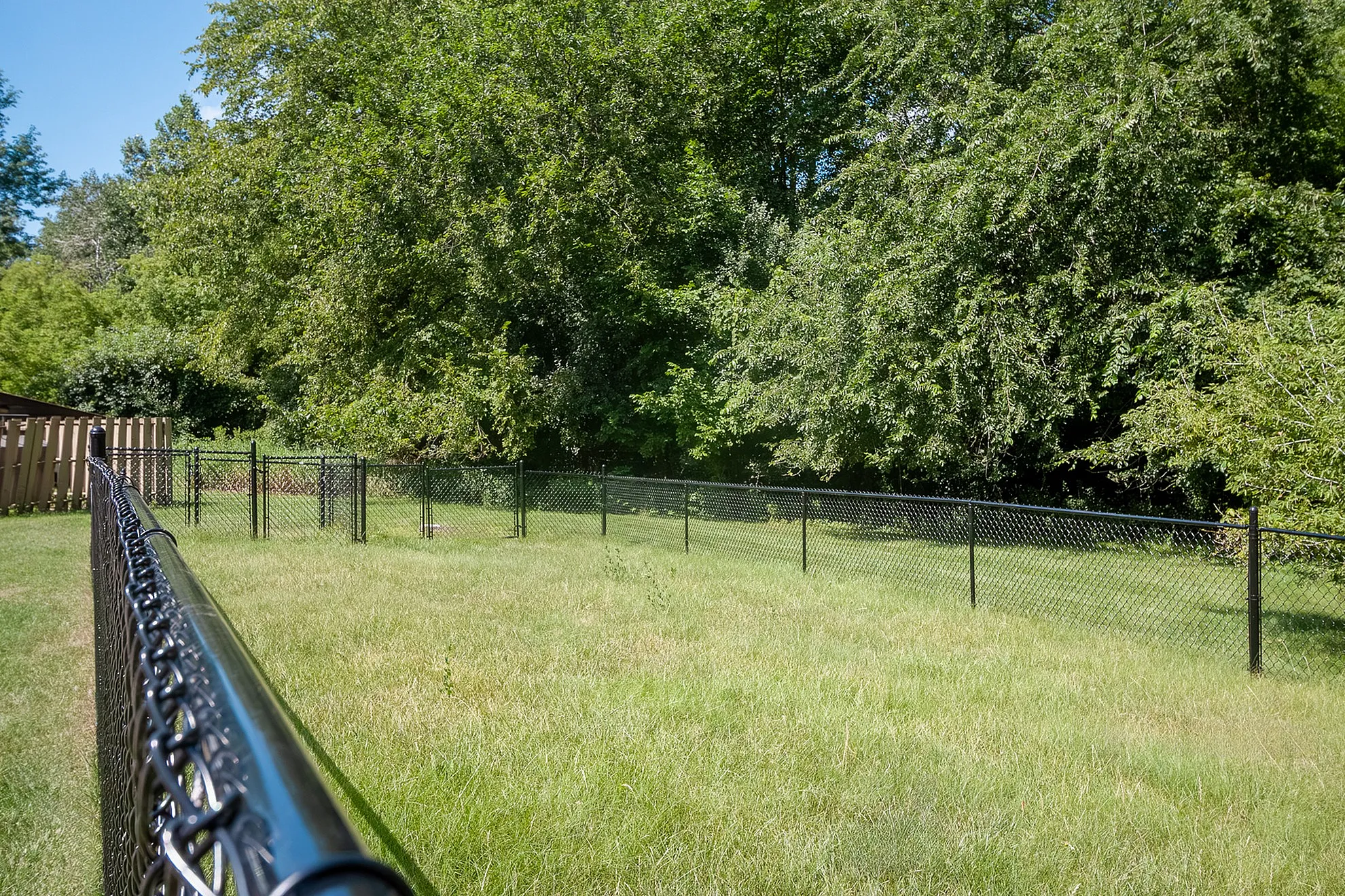 Expansive fenced-in backyard oasis with lush greenery and mature trees offering privacy and tranquility.