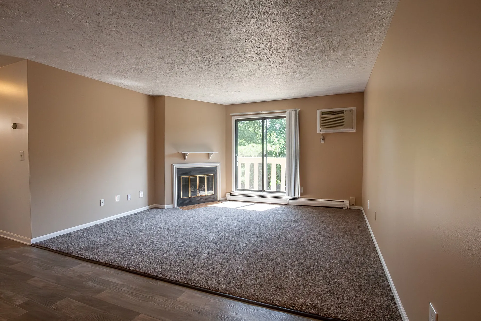Bright living room with cozy carpet, elegant fireplace, and large sliding glass door leading to a serene view.