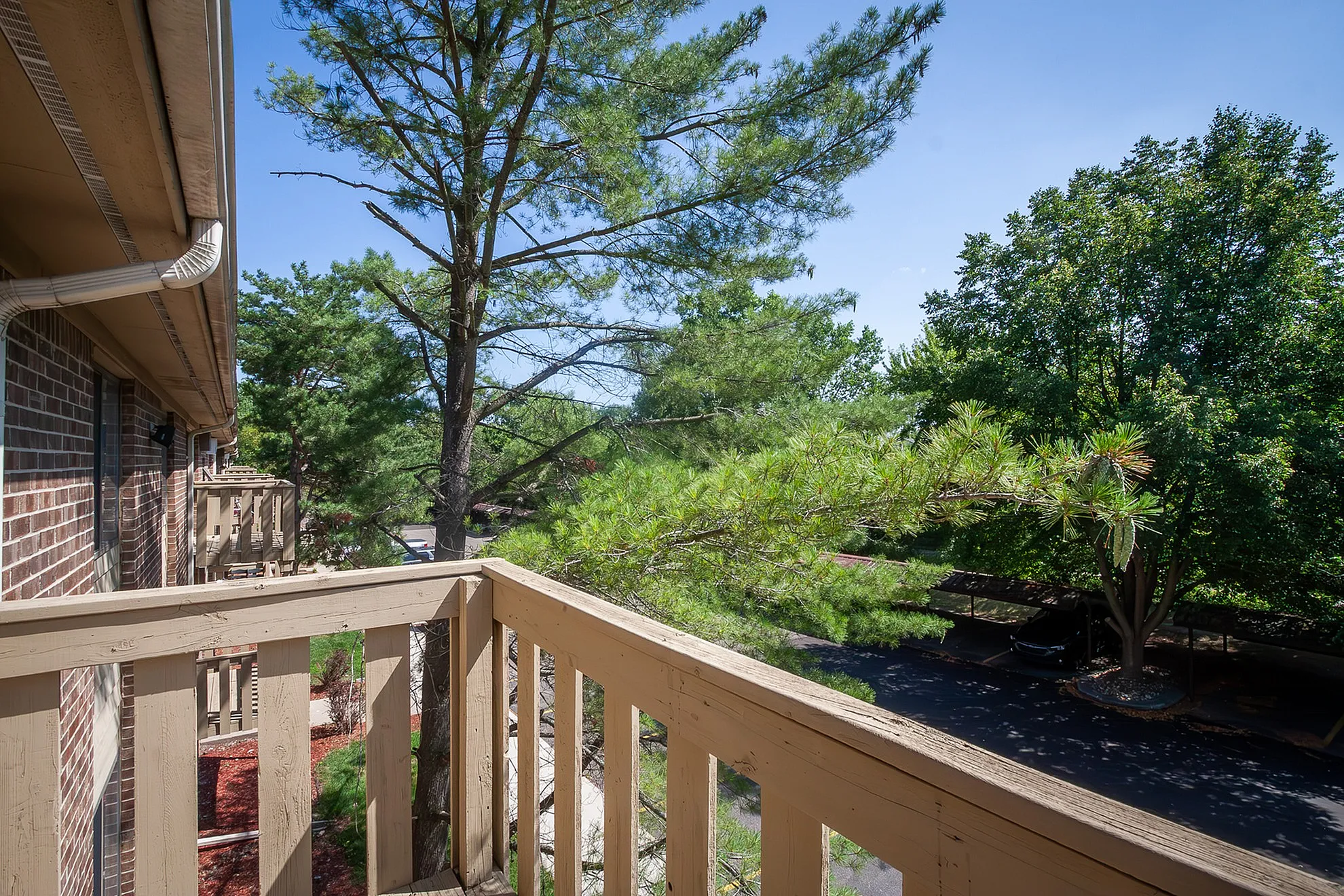 Charming balcony view with lush green trees providing a serene and private atmosphere.