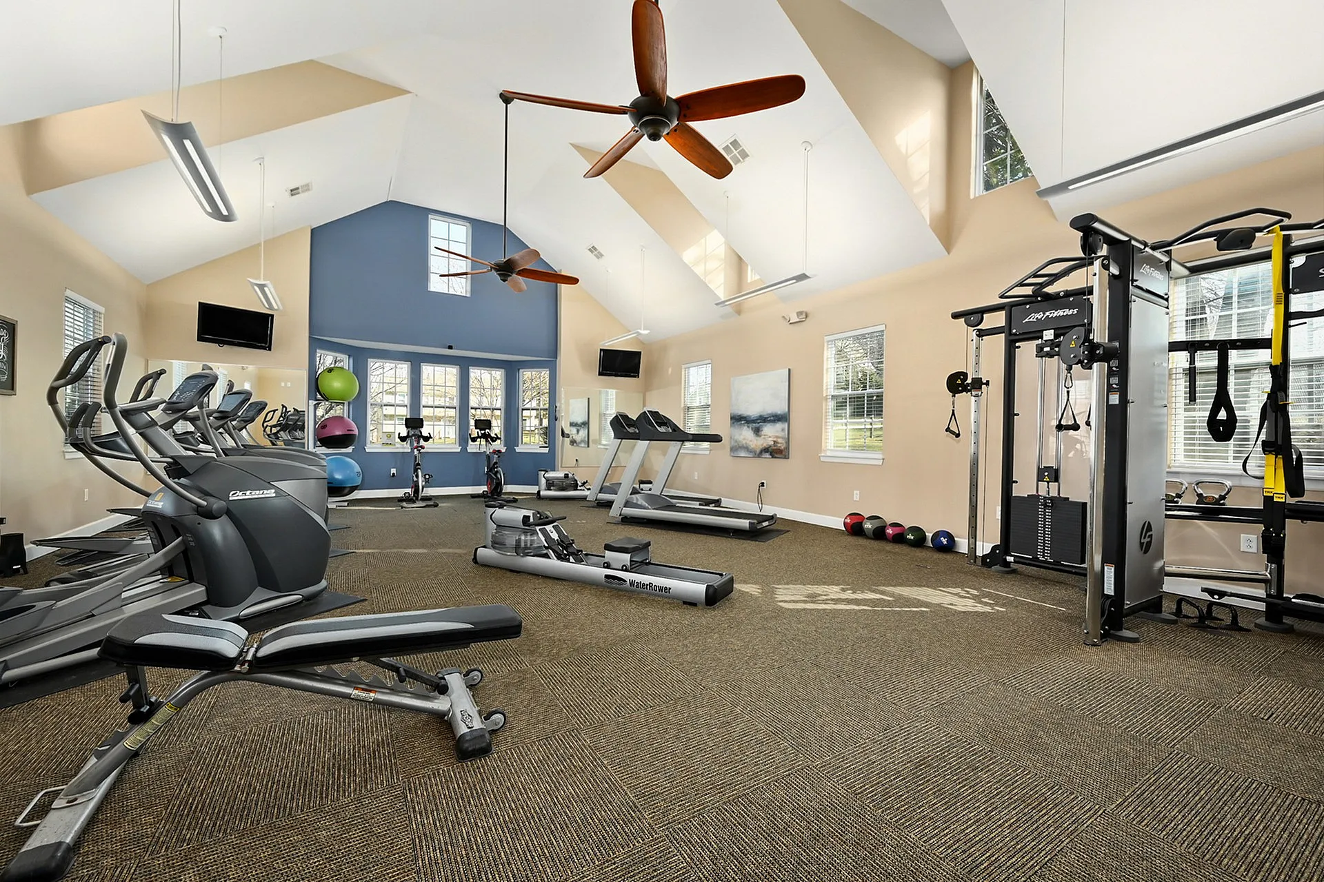 Spacious and bright gym with modern cardio and strength equipment, featuring high ceilings and large windows for natural light.