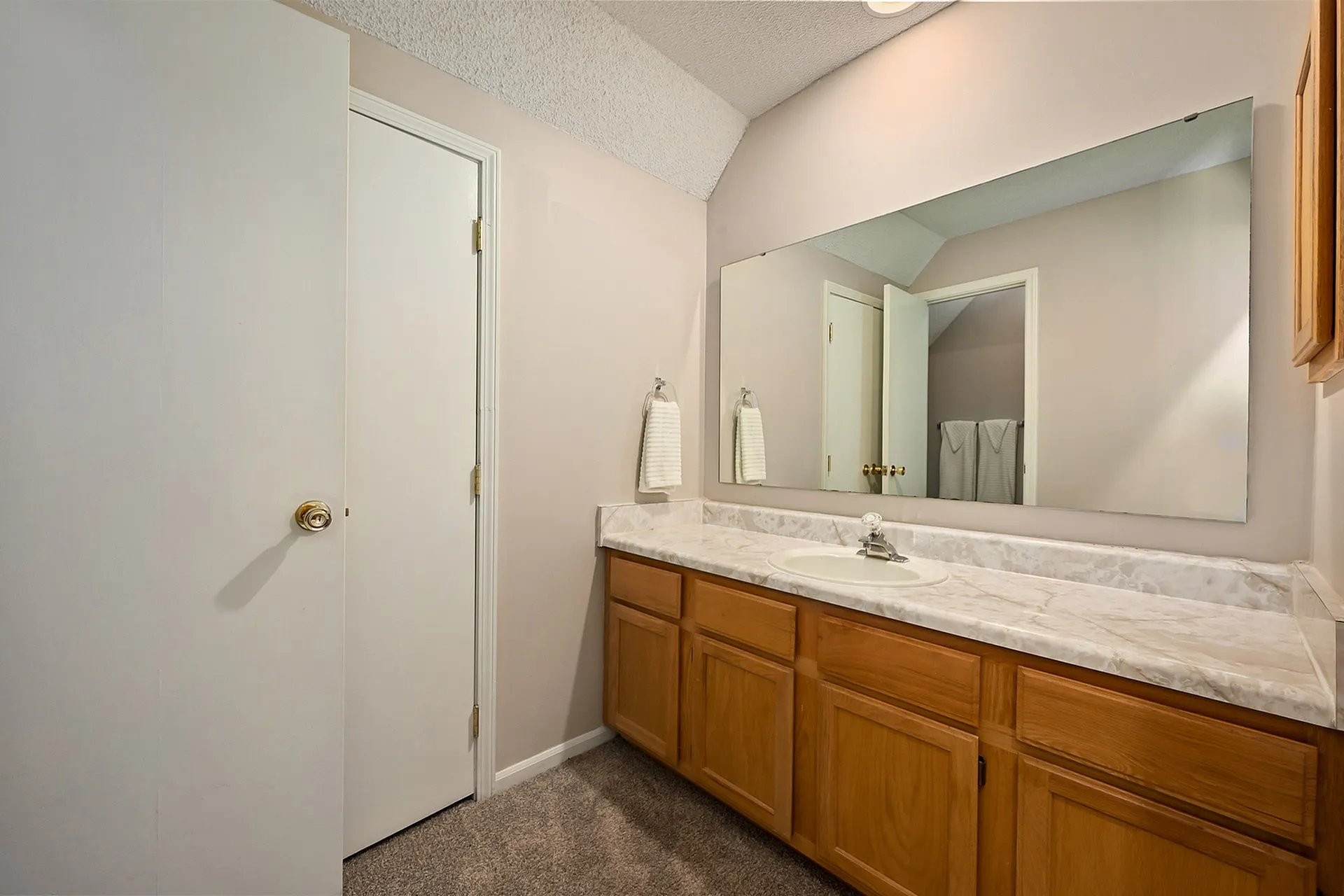 Elegant bathroom with spacious vanity and large mirror, featuring warm wooden cabinets and bright lighting.