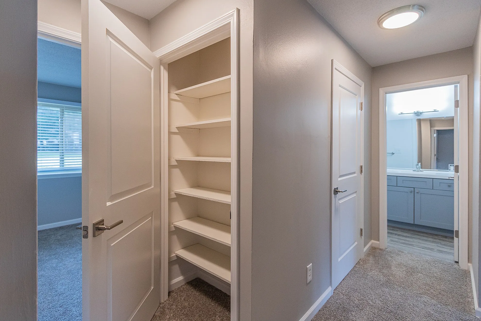 Bright hallway with a modern built-in closet, showcasing sleek shelves and carpeted flooring, leading to a stylish bathroom with contemporary fixtures.