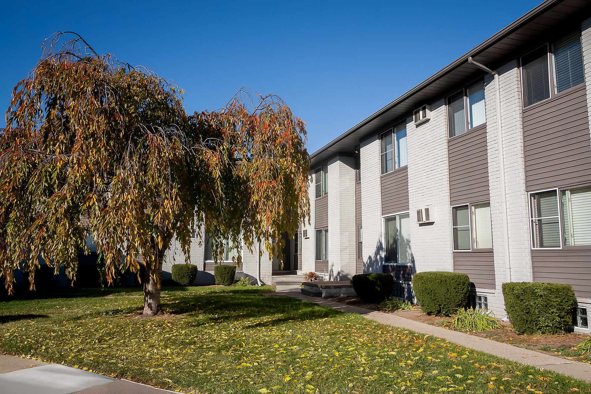 Charming apartment building with modern gray siding, surrounded by lush green lawn and a beautiful tree in autumn colors.
