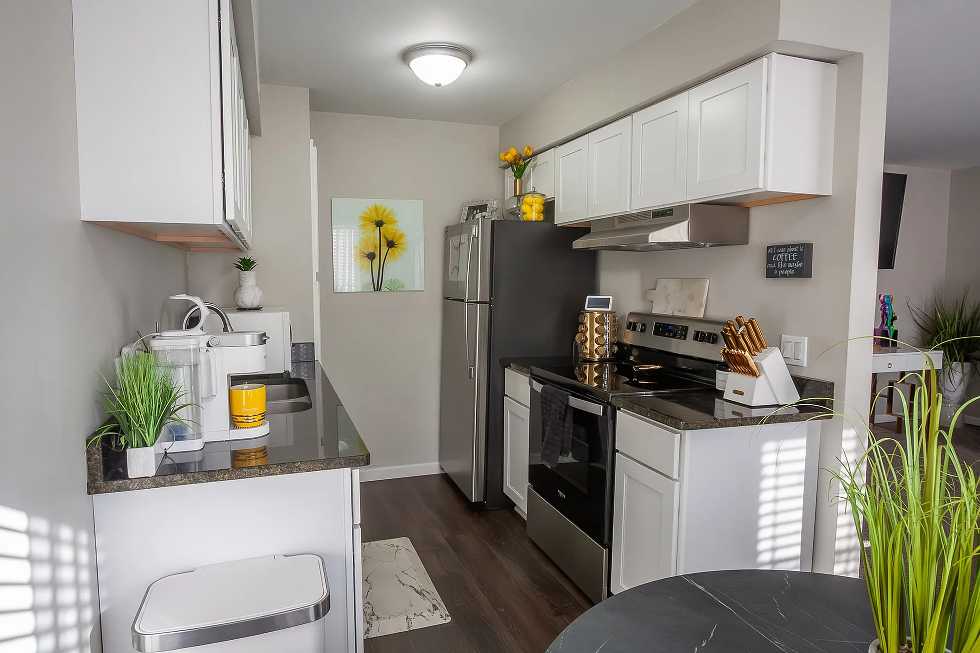 Contemporary kitchen with sleek stainless steel appliances, elegant white cabinetry, and vibrant decor accents, offering a bright and inviting culinary space.