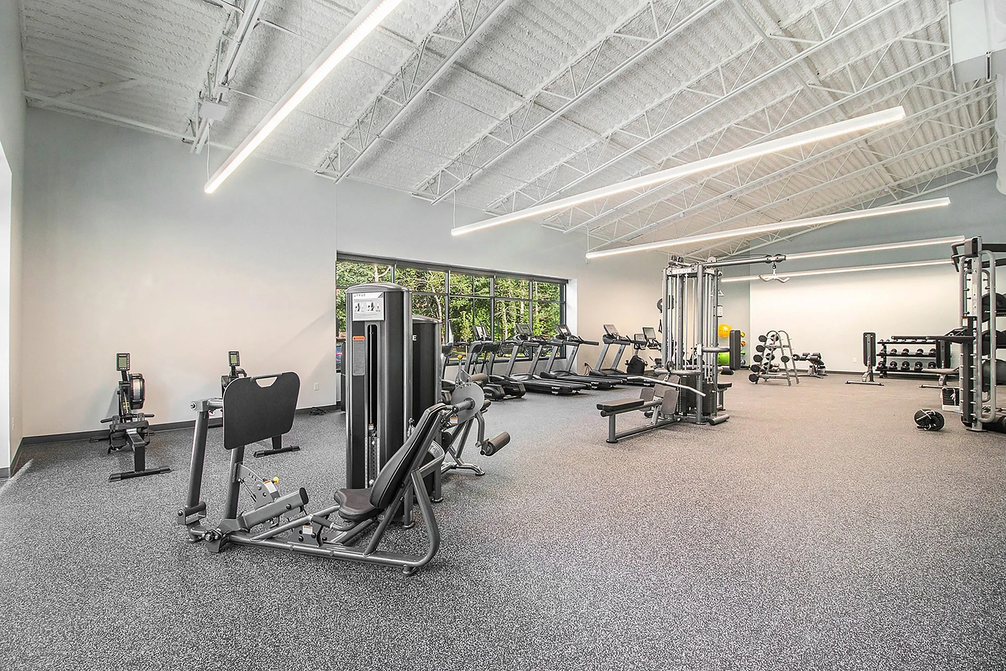 Spacious and modern gym with state-of-the-art fitness equipment and bright natural lighting.
