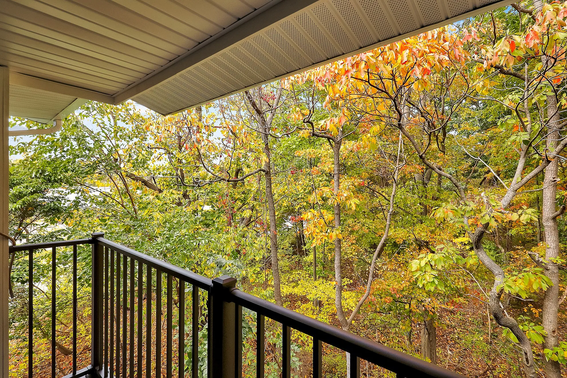 Charming balcony view overlooking vibrant autumn foliage, offering a serene and picturesque retreat.