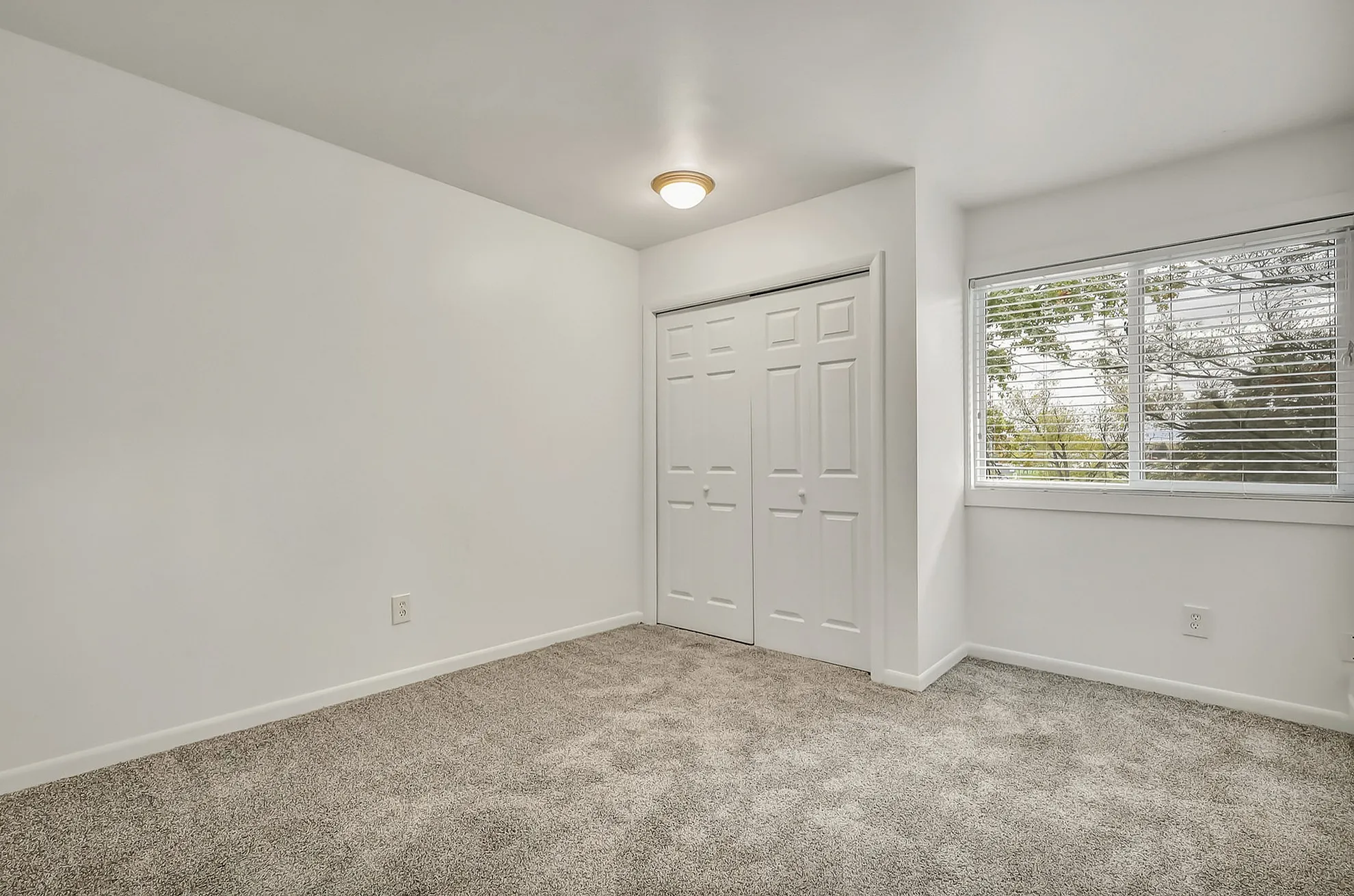 Bright and airy bedroom with plush carpet, large closet, and window view.