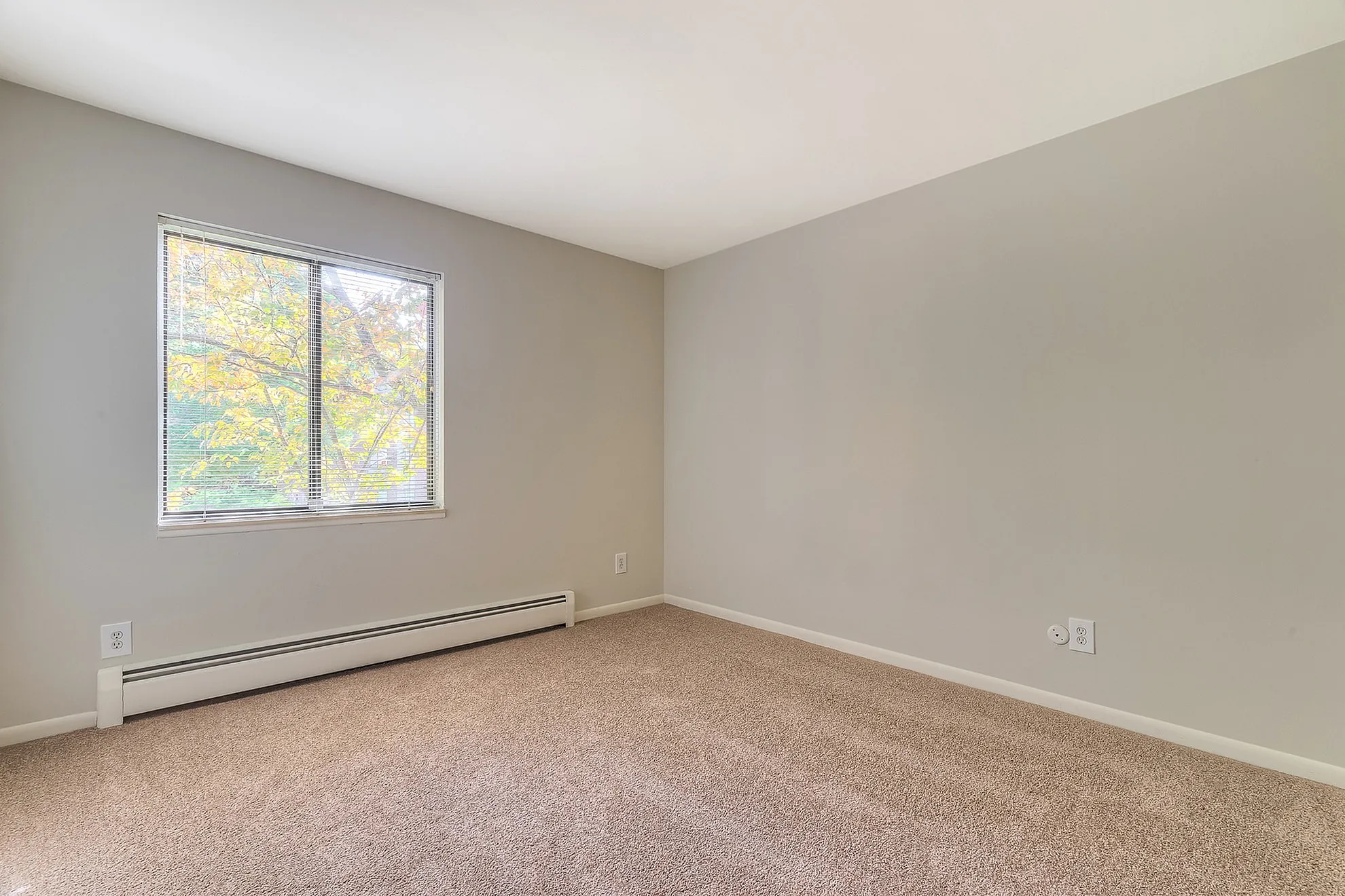 Bright and airy bedroom with plush carpeting, neutral walls, and a large window showcasing a leafy view.
