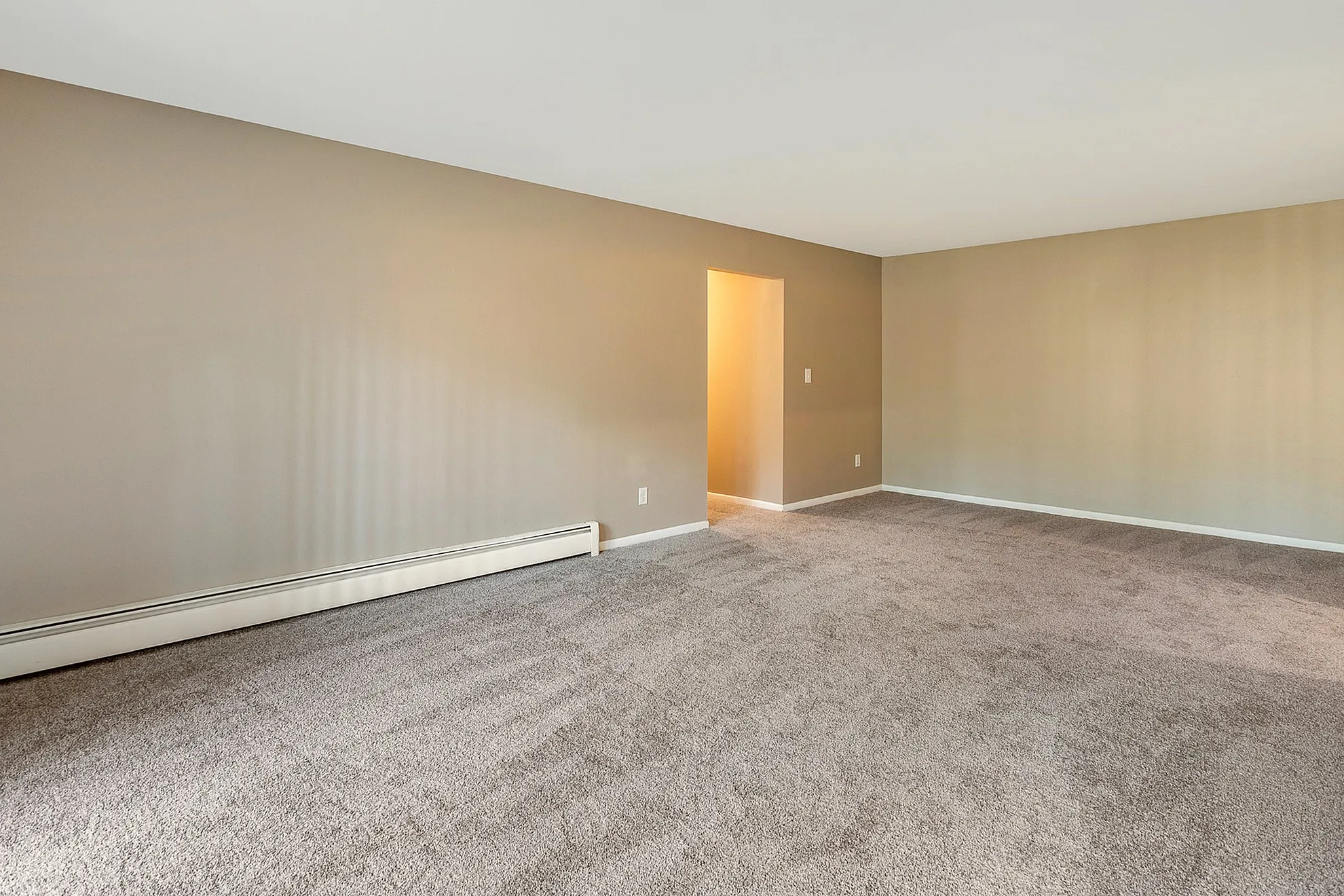 Spacious open room with plush carpeting and neutral walls, perfect for a cozy living area.