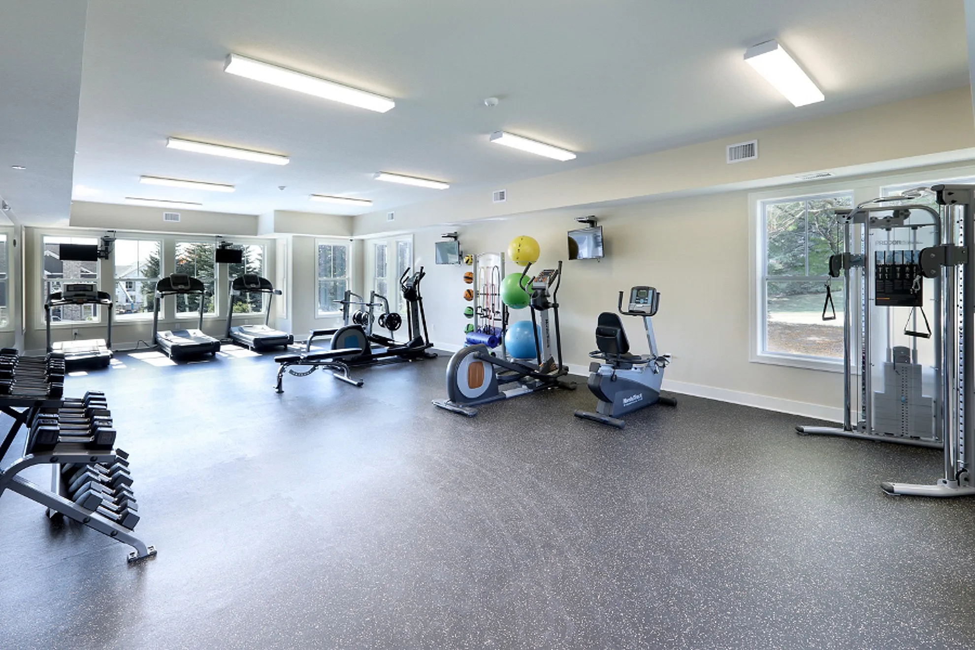 Modern fitness center with natural light, featuring treadmills, ellipticals, and strength training equipment.