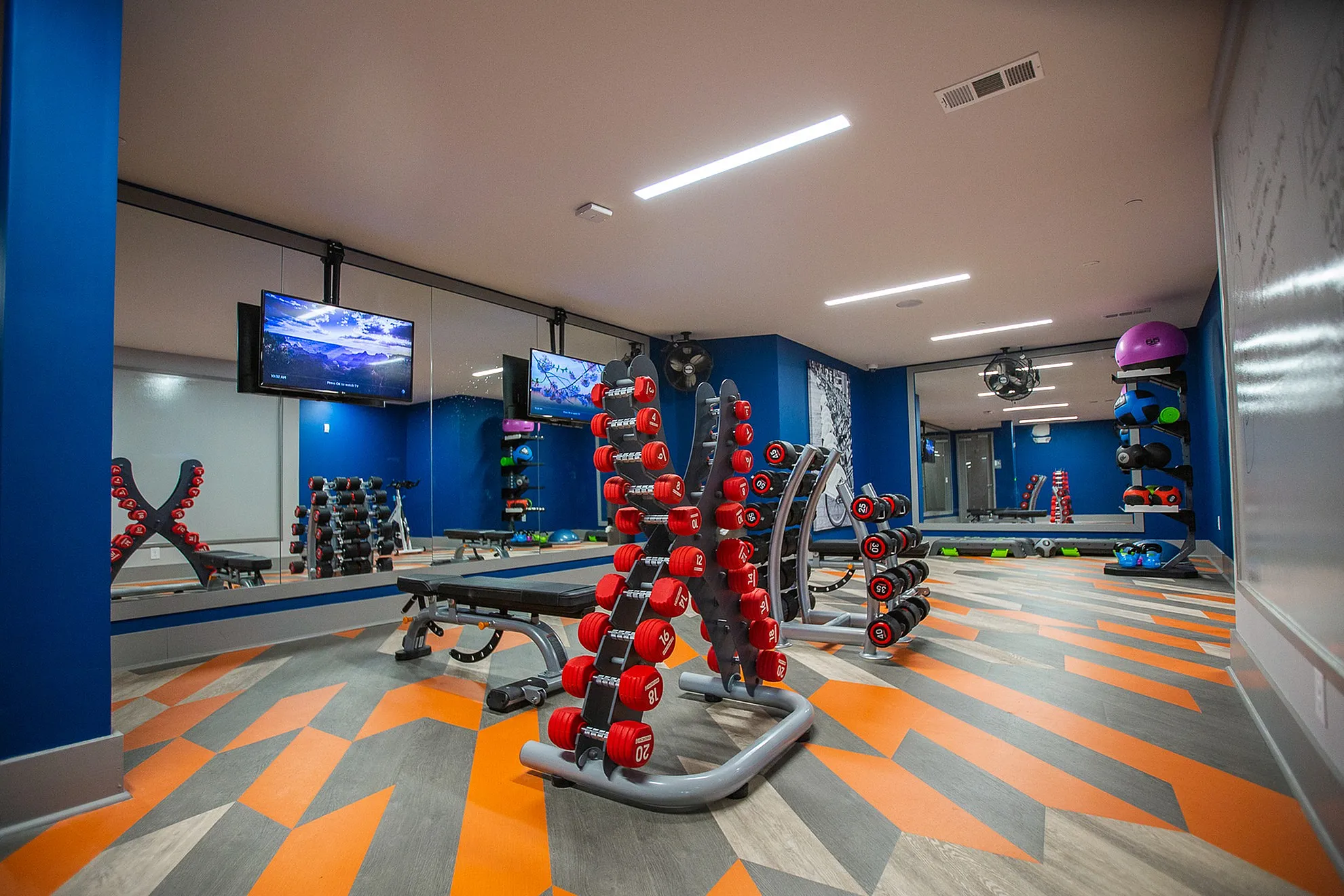 Modern fitness center with vibrant flooring, sleek dumbbell racks, and state-of-the-art equipment for an invigorating workout experience.