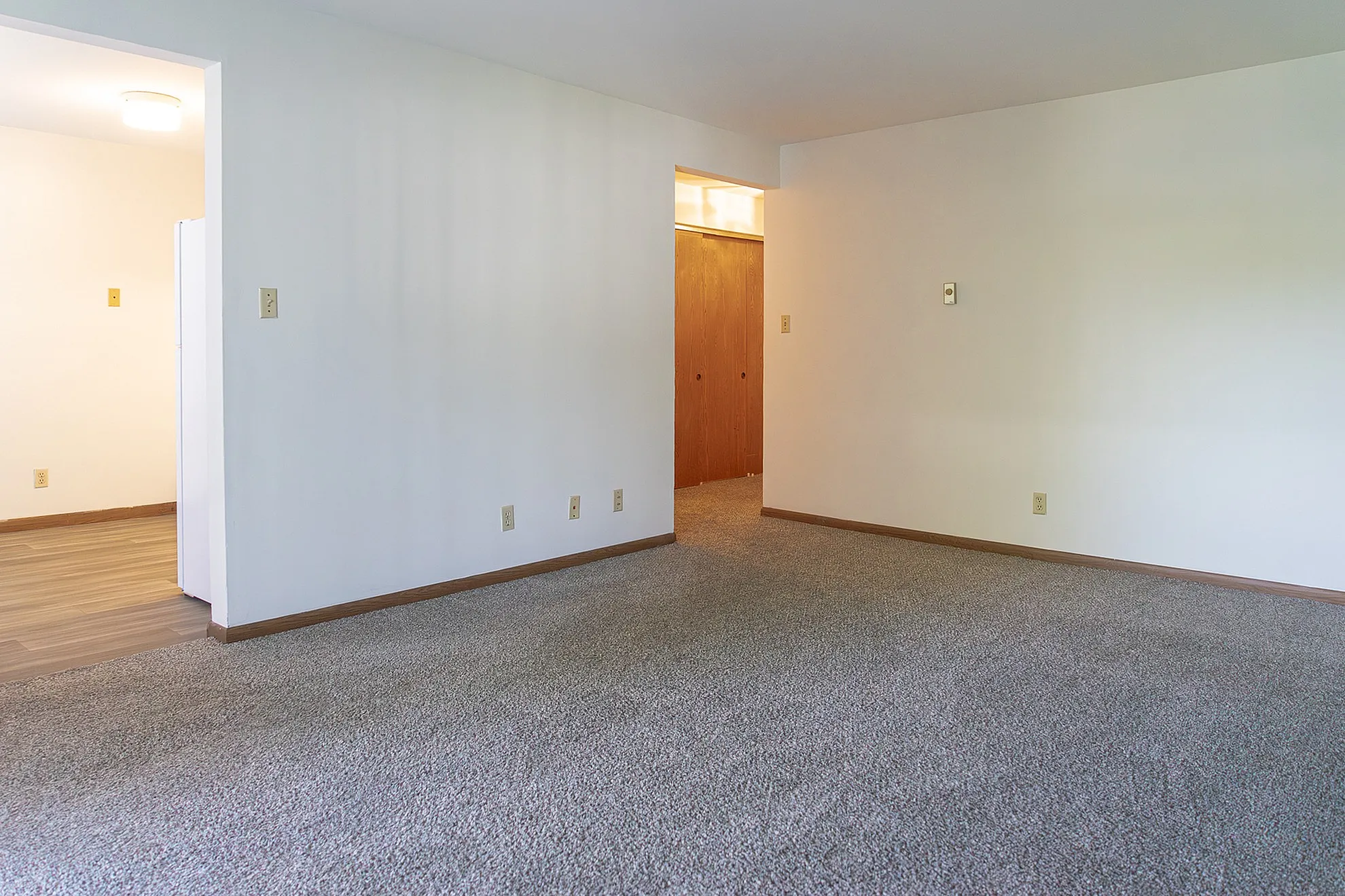 Spacious living area with plush carpeting and natural lighting, adjacent to an inviting kitchen space.