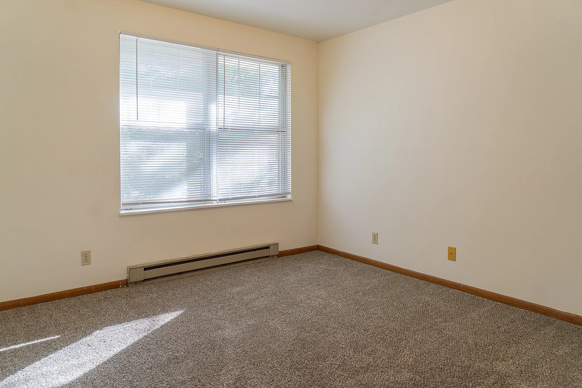 Bright, inviting room with large window, showcasing natural light and plush carpeted flooring.