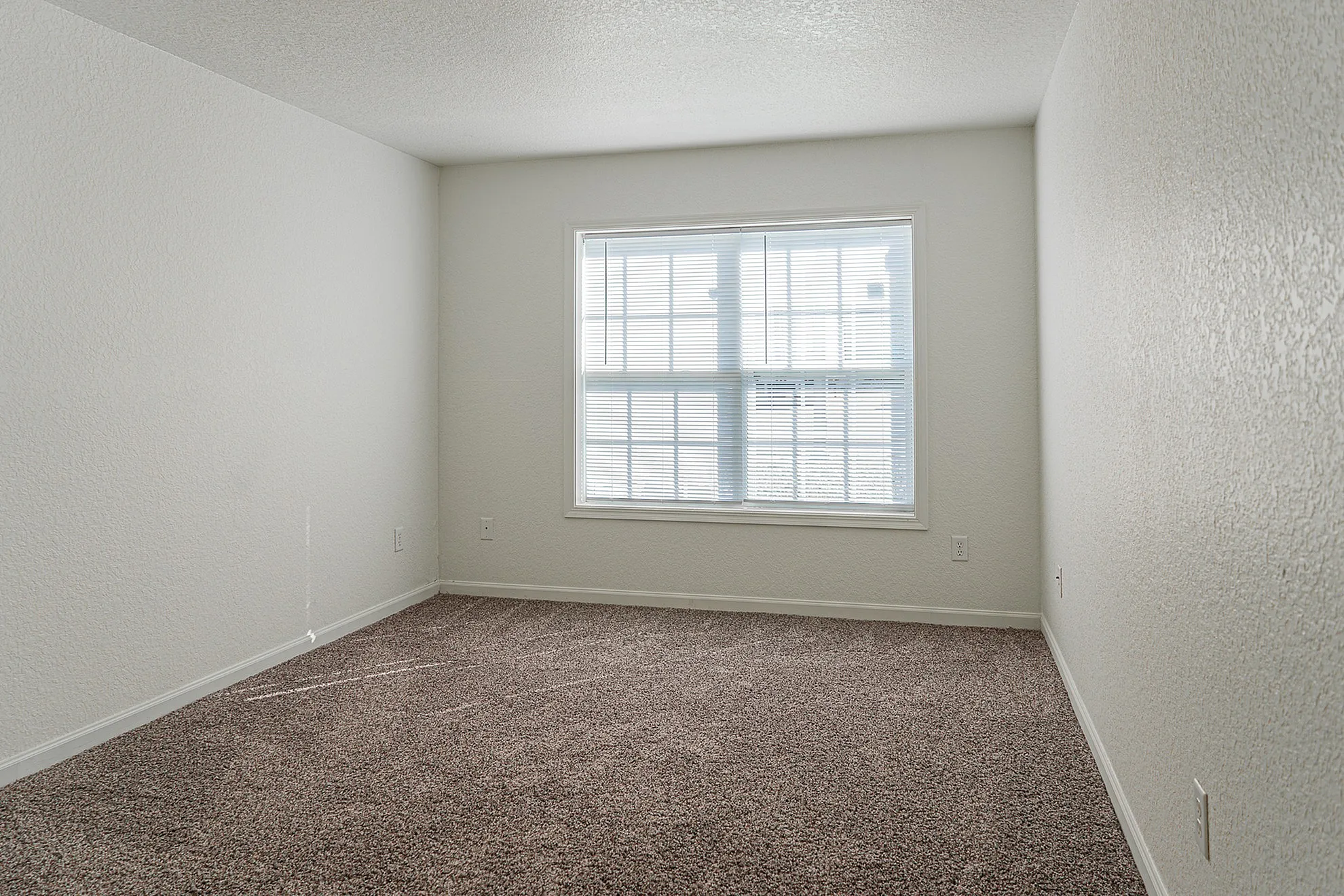 Bright and airy bedroom with large window, plush carpet, and neutral walls perfect for personalization.