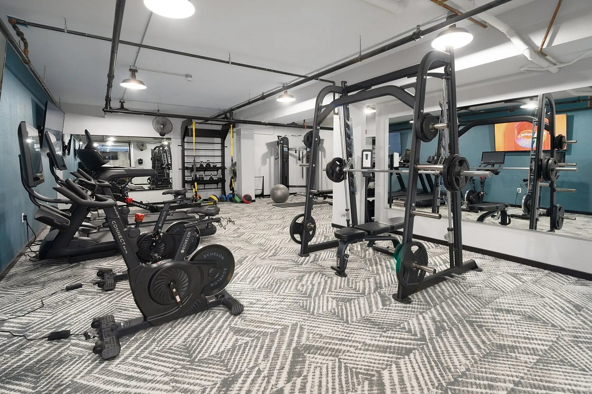 Modern gym equipped with state-of-the-art exercise machines, free weights, and a stylish interior design.