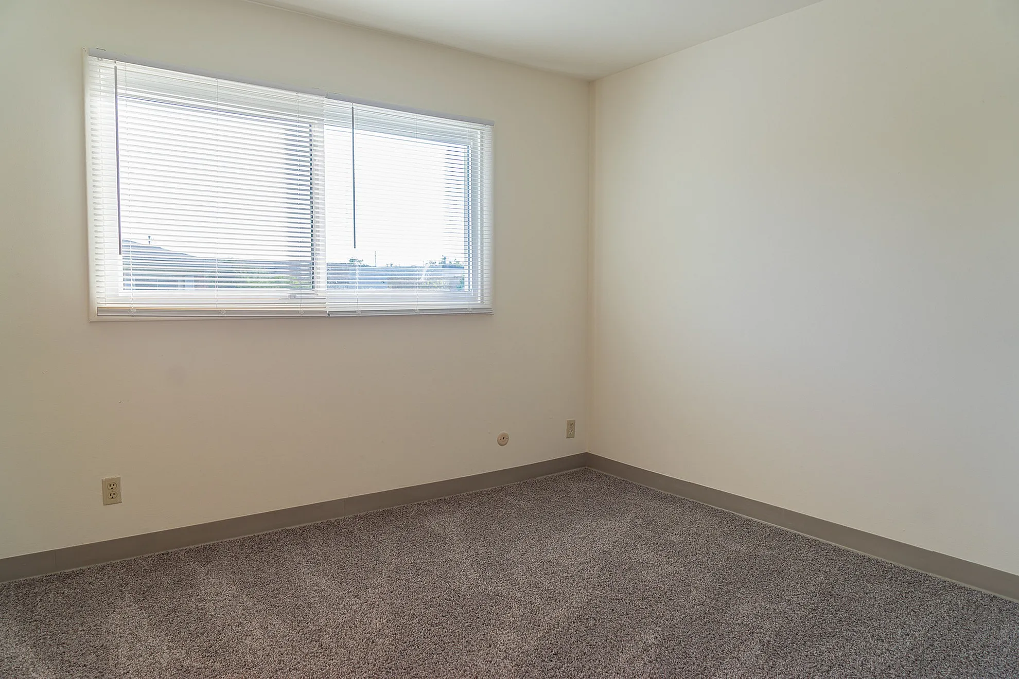 Bright, airy room with a large window showcasing natural light and plush carpeting, perfect for a cozy bedroom or home office.