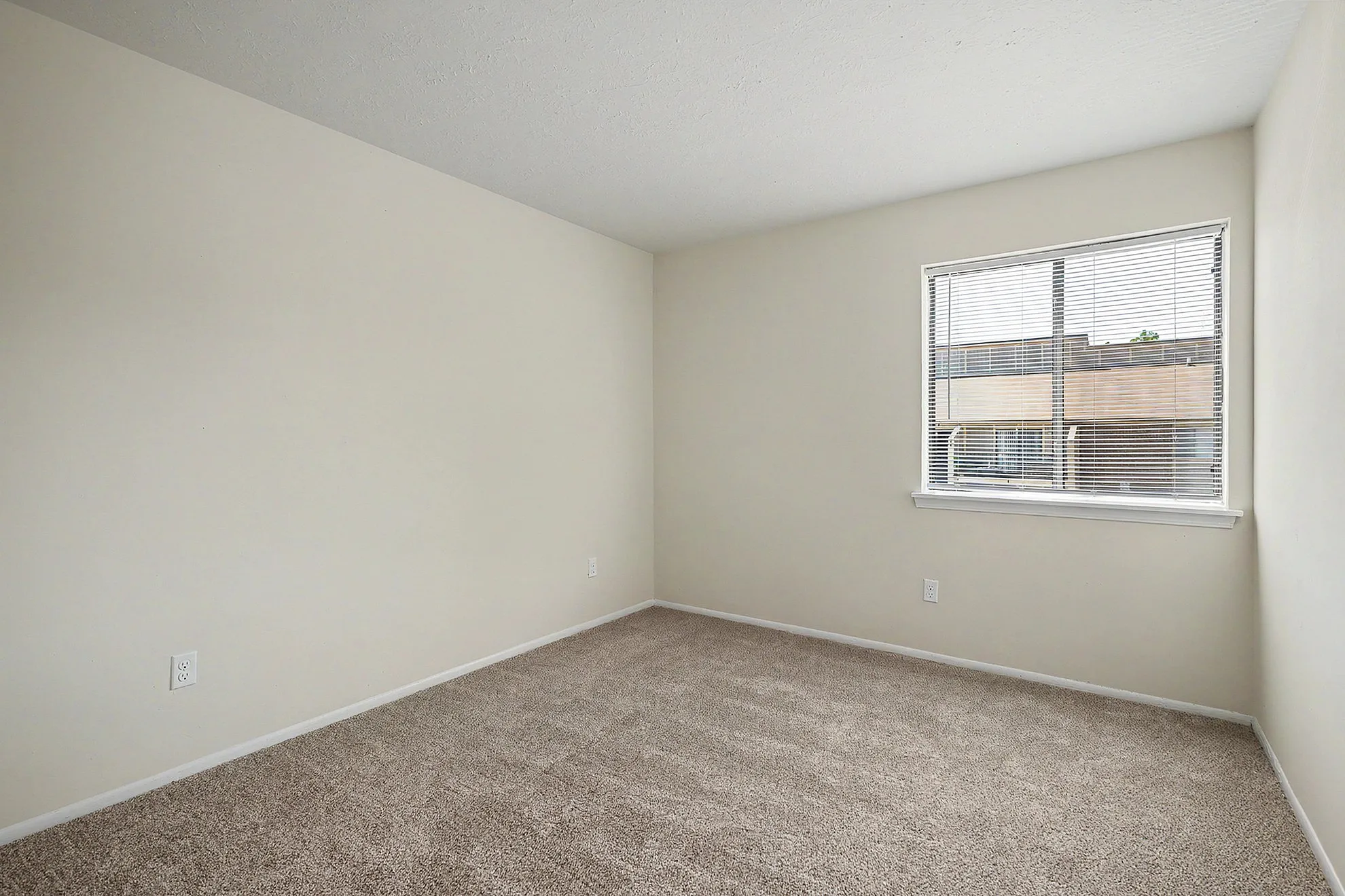 Bright and airy room with plush carpeting, large window with blinds, and neutral walls, perfect for personalization.