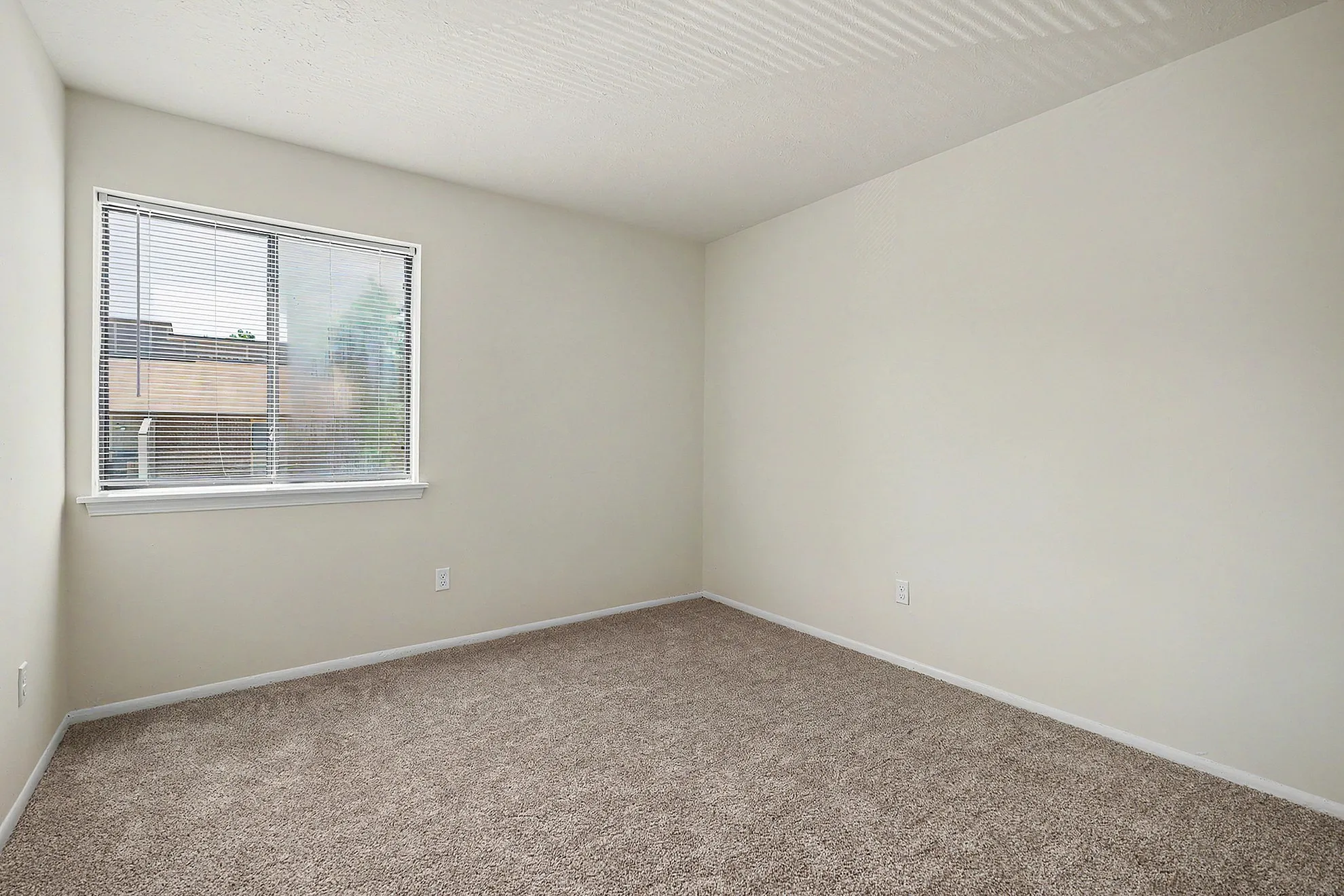 Bright and inviting bedroom space featuring plush carpeting and a large window with blinds for ample natural light.